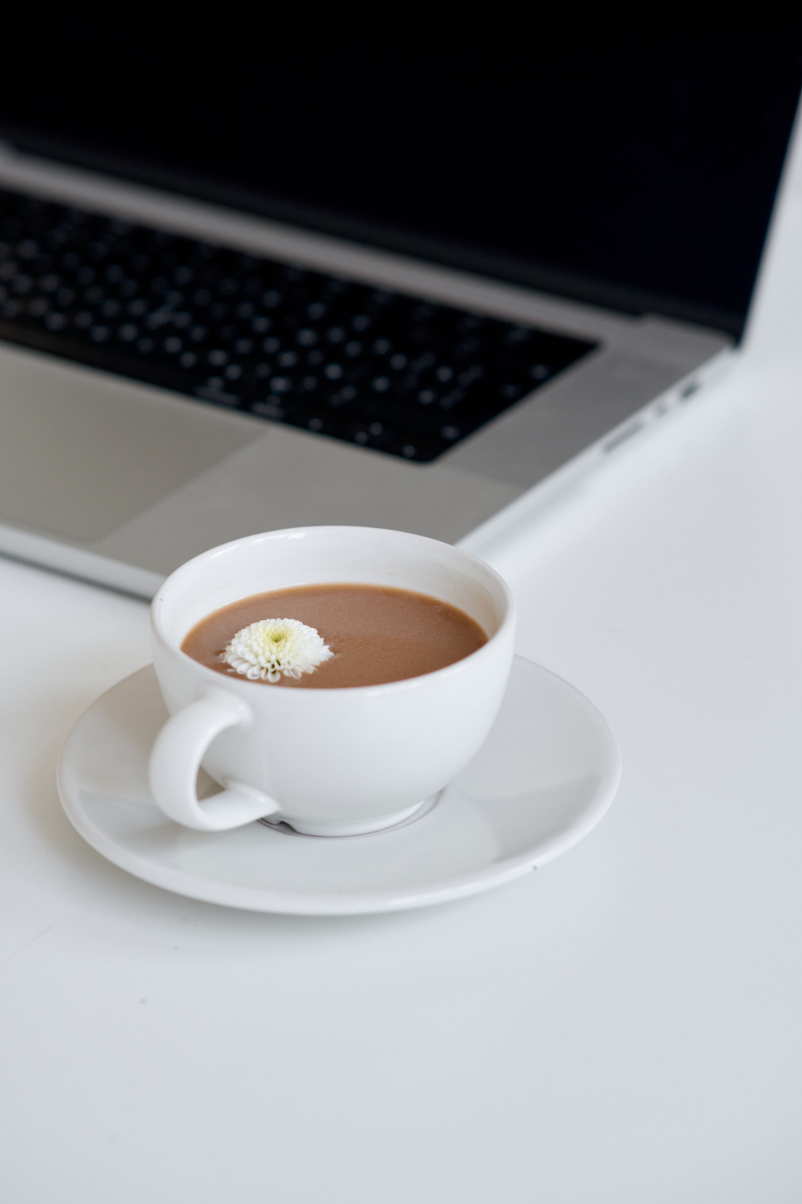 Дизайнер Светлана Ковальчук. Фотограф Таганрог Анна Трайжон