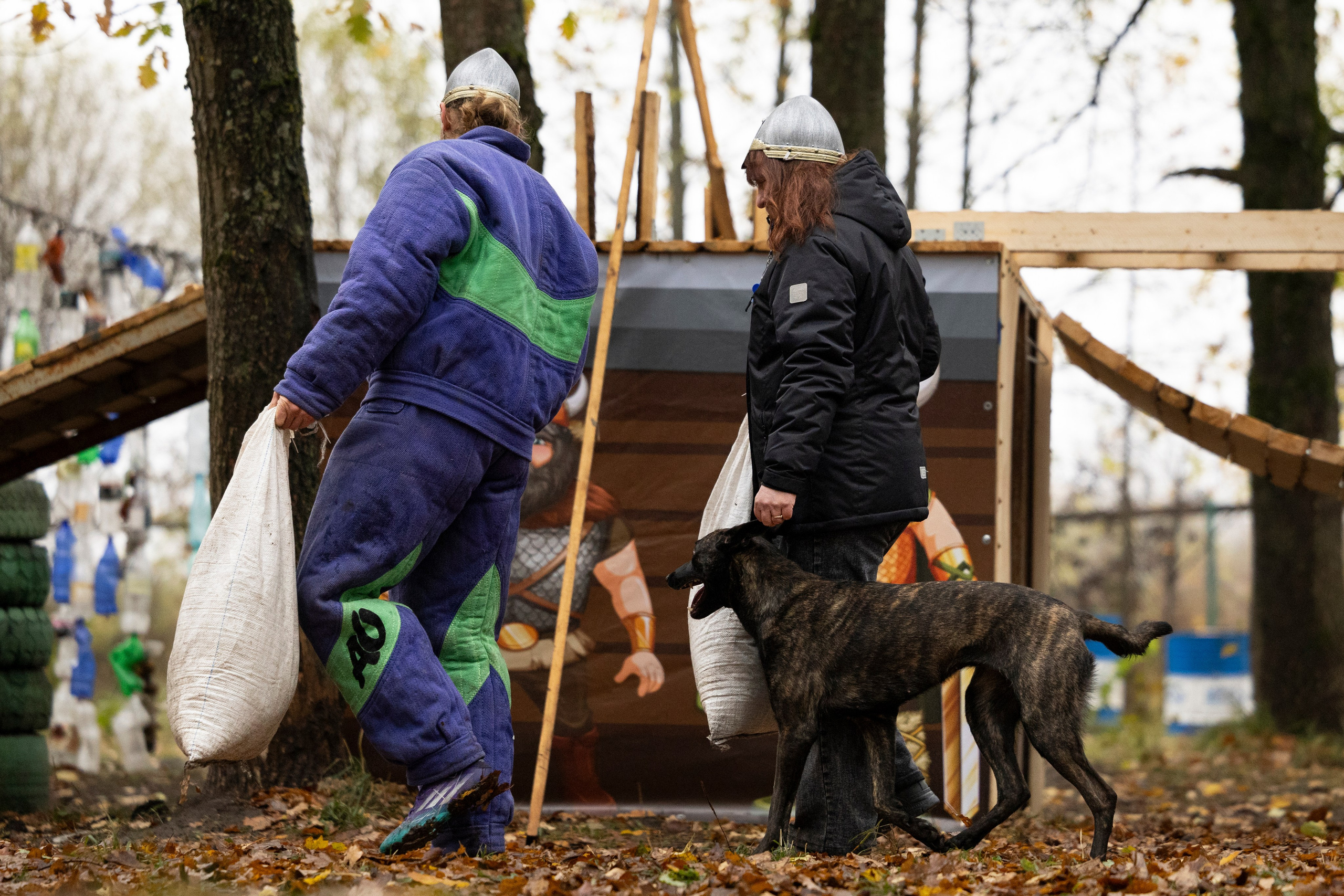 Соревнования по Мондьорингу г. Вологда. Фотограф-анималист Анна Маринич