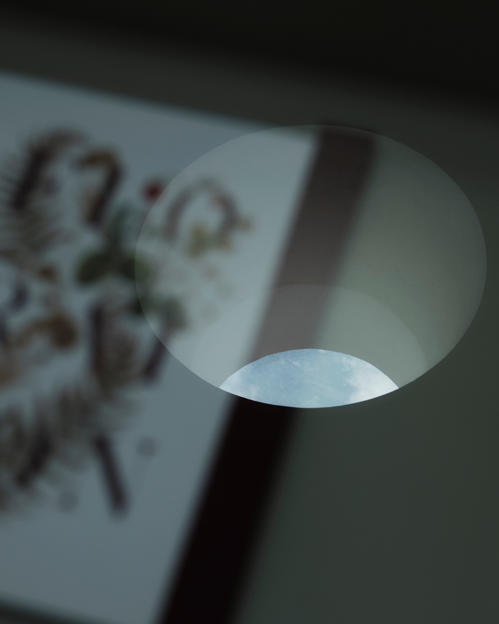 Мартовский Выборг. Фотограф Даниил Богомолов, Санкт-Петербург