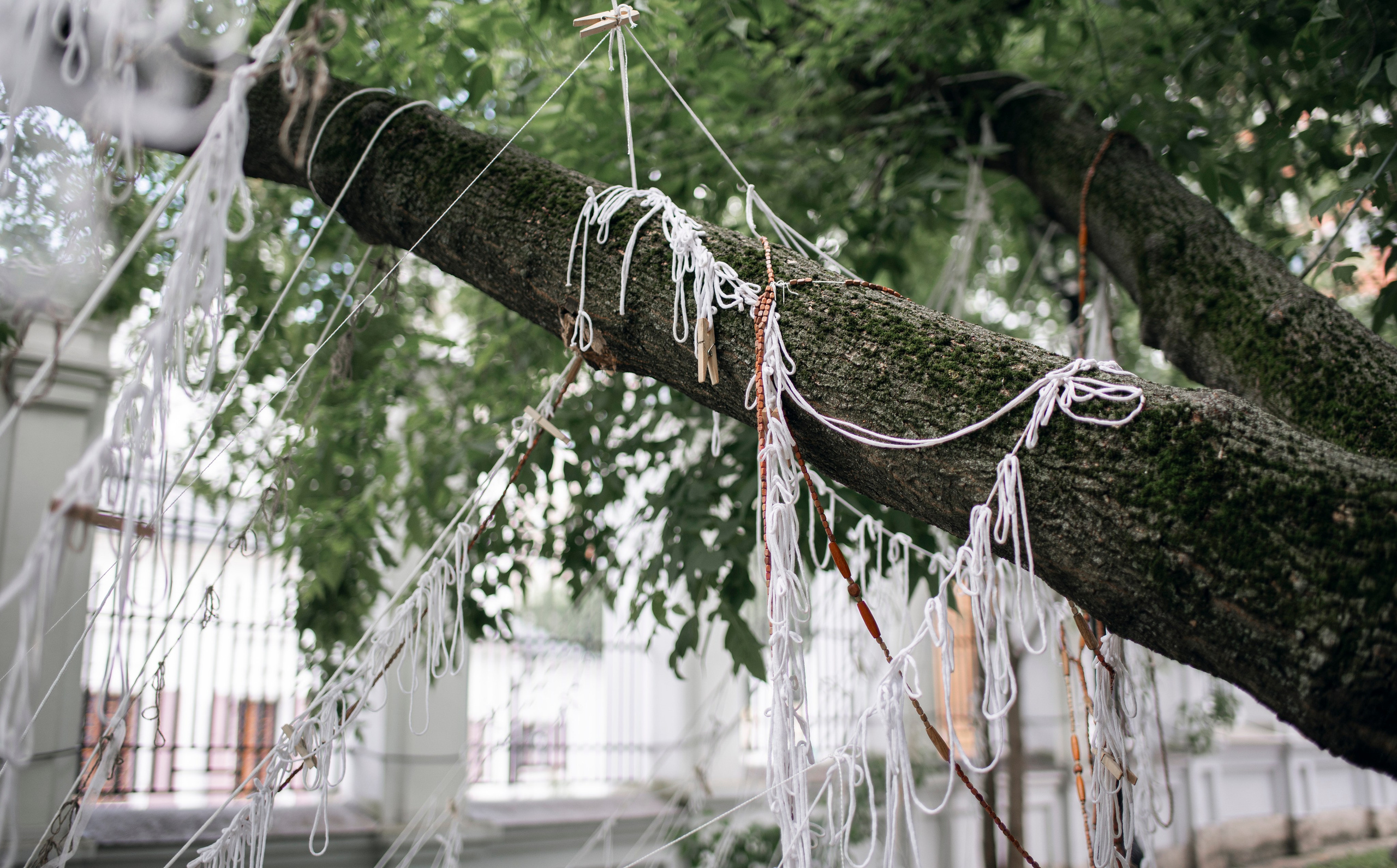 Выставка в доме Третьяковых. Фотограф в Москве Алейникова Евгения