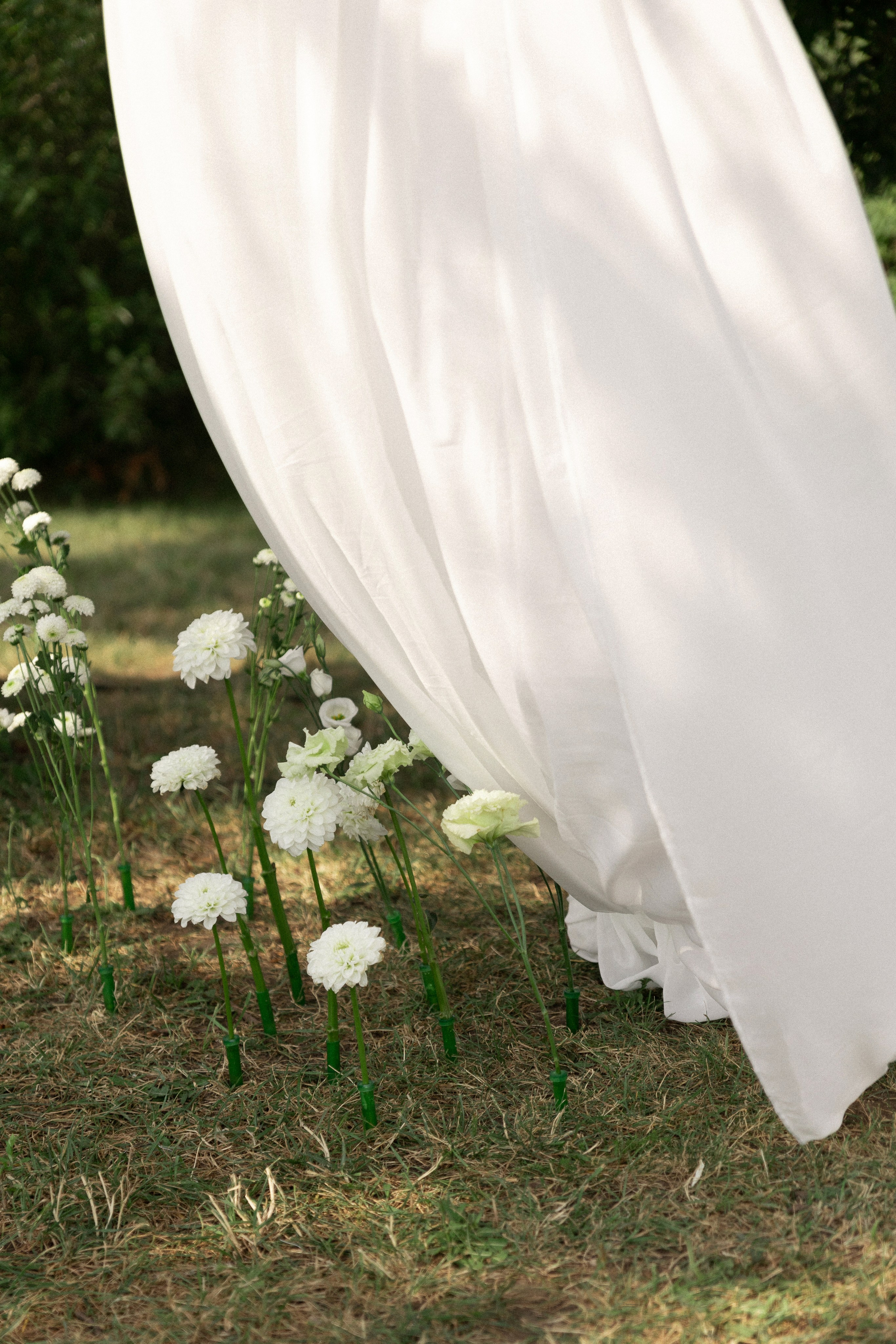 Владислав и Наталья. Свадебный фотограф