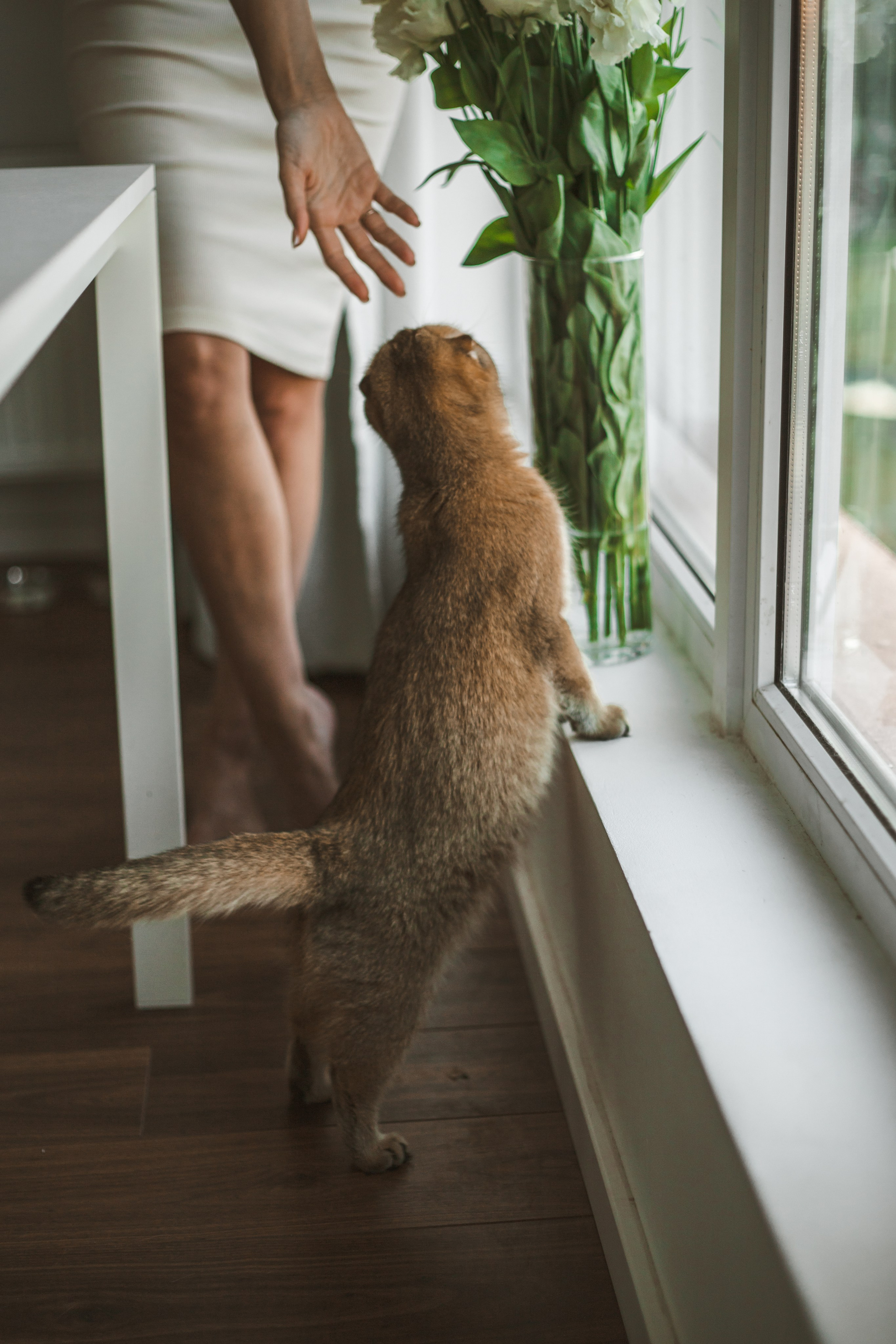 Когда в семье появился ещё один человечек…)) <3. Фотограф Сочи, Адлер, Красная Поляна — Вероника Радченко