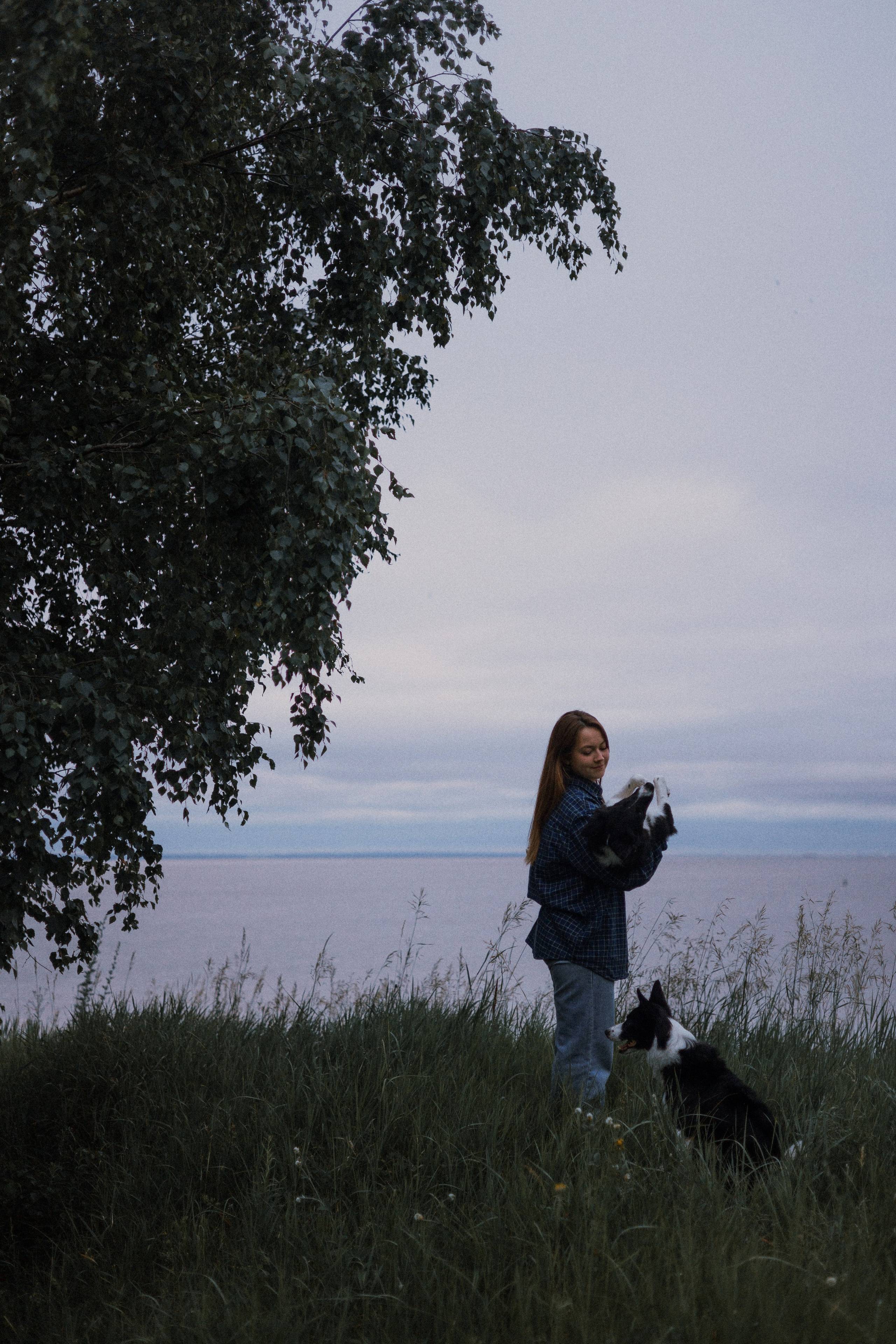 Аделя, Вандер, Шайна и Бая. Фотограф-анималист Богданова Полина