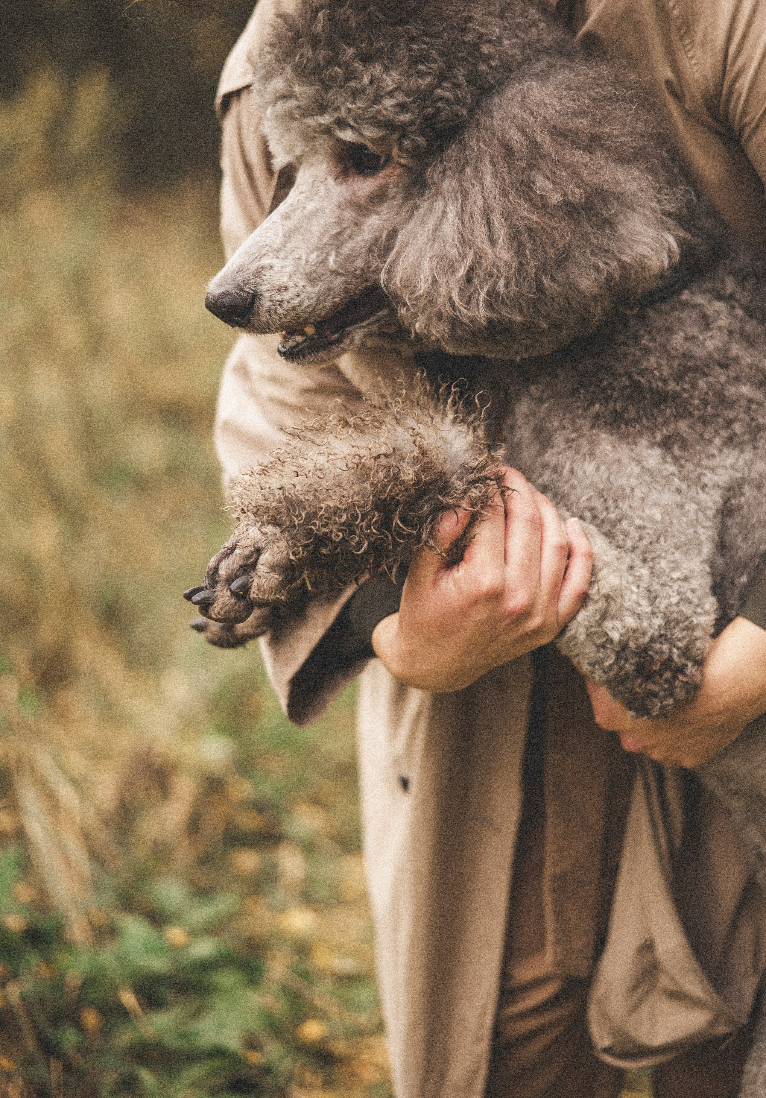 Алёна и Смоки. Фотограф-анималист Богданова Полина