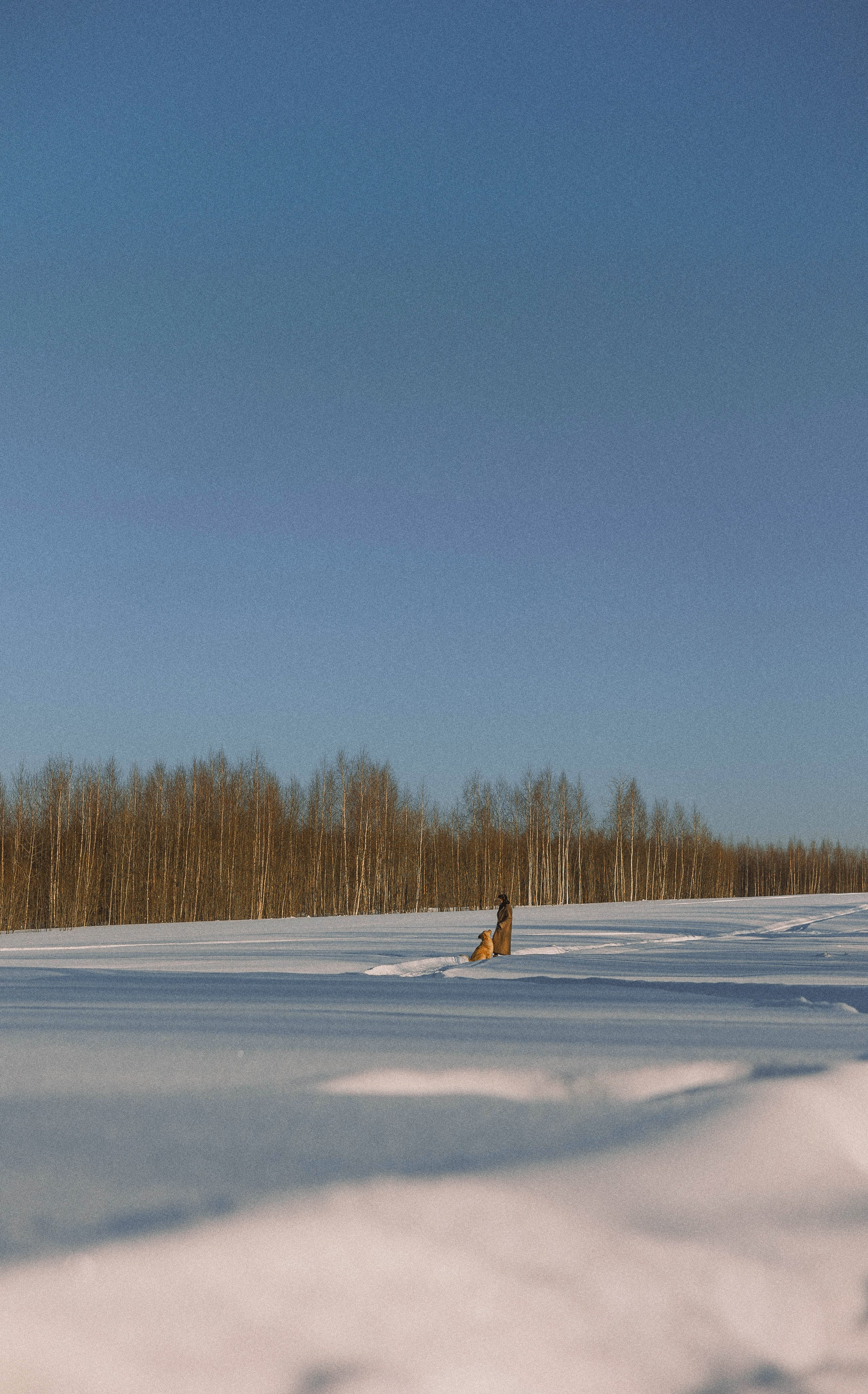 Лена и Декстер. Фотограф-анималист Богданова Полина