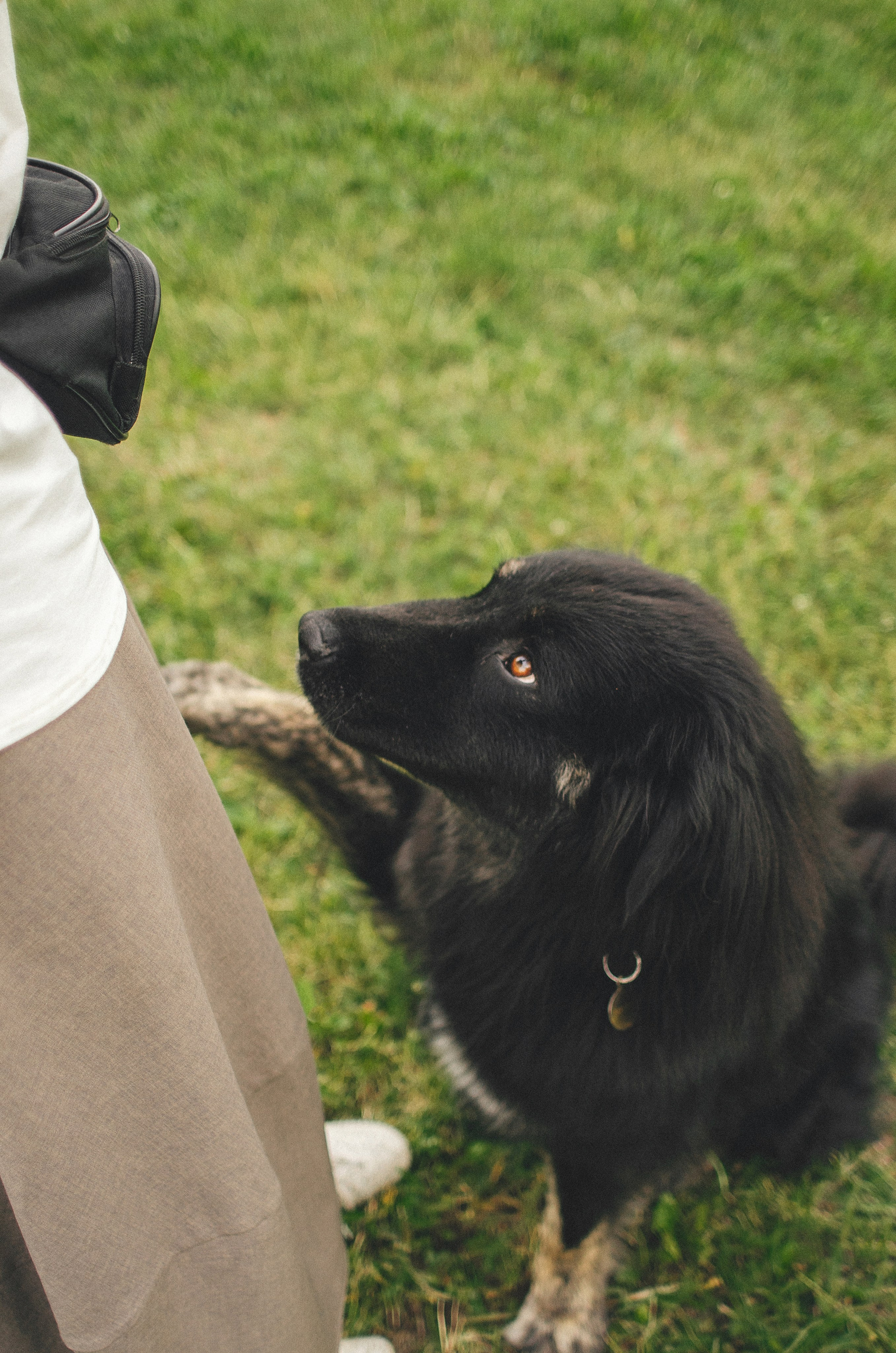 Анна и Марко. Фотограф-анималист Богданова Полина