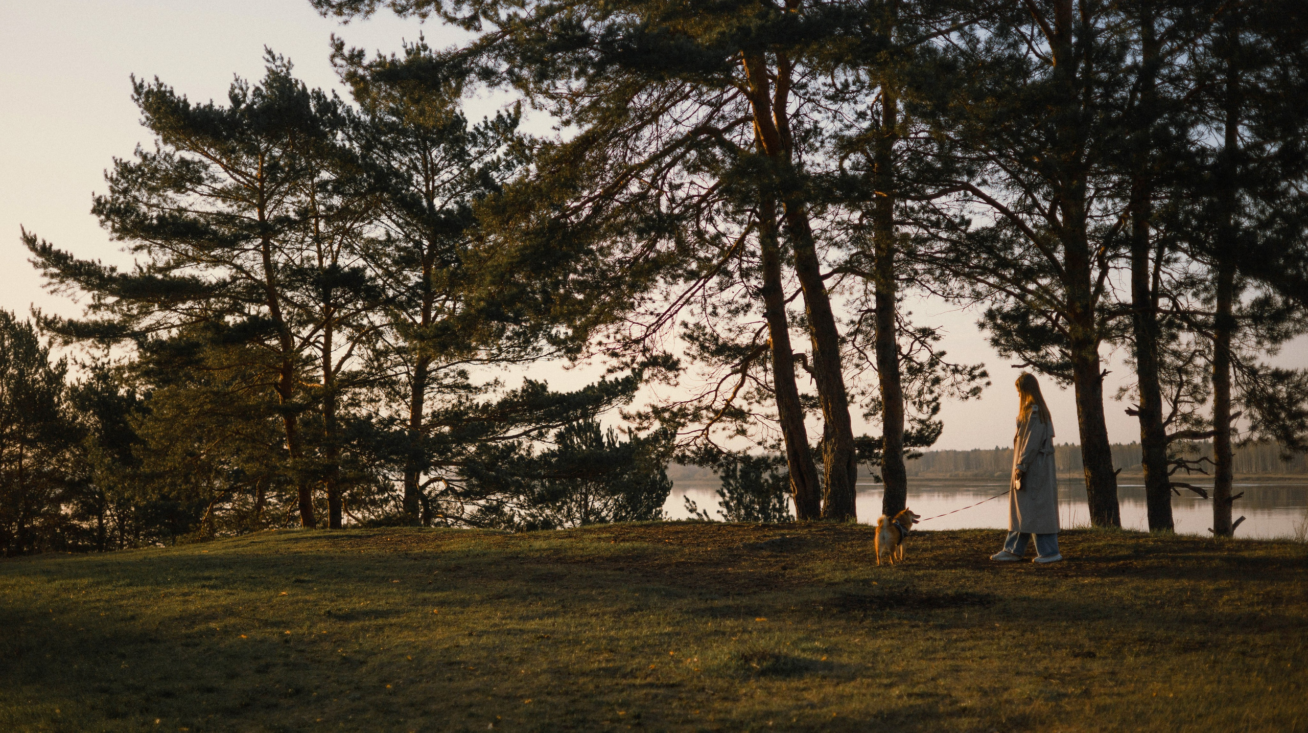 Аня и Шани. Фотограф-анималист Богданова Полина