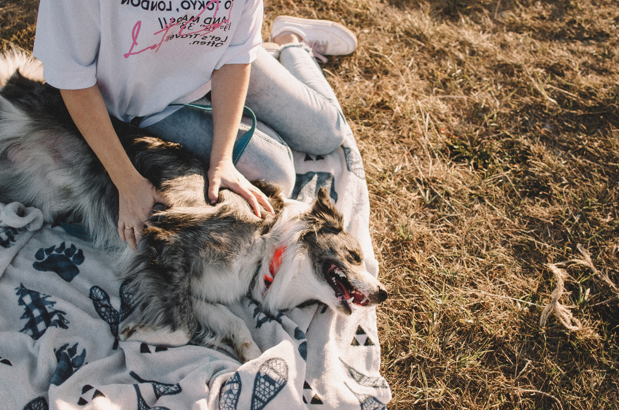 Таня и Бриллиант. Фотограф-анималист Богданова Полина