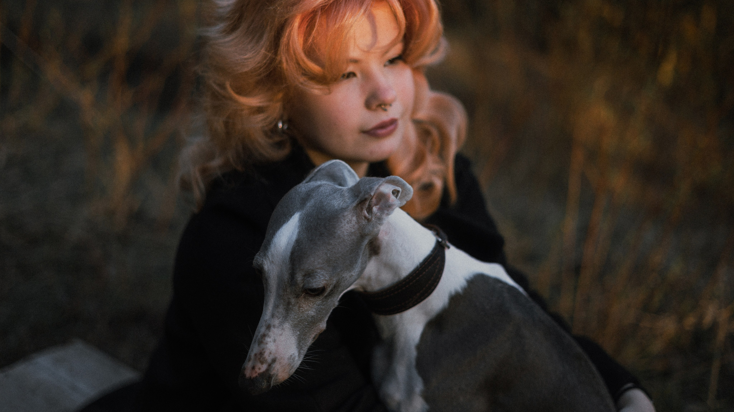 Вика, Джем и Белла. Фотограф-анималист Богданова Полина