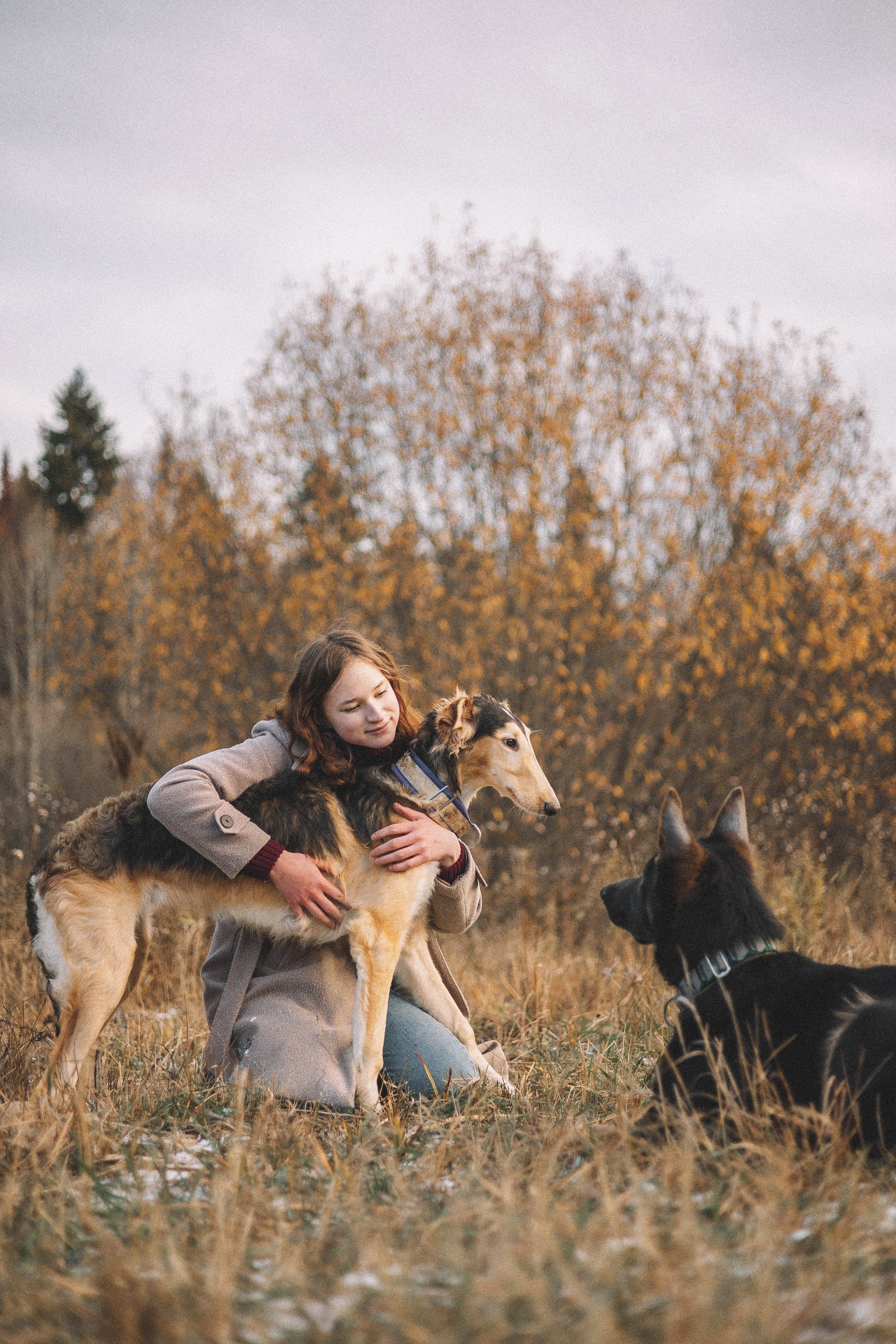 Алена, Леви и Микаса. Фотограф-анималист Богданова Полина
