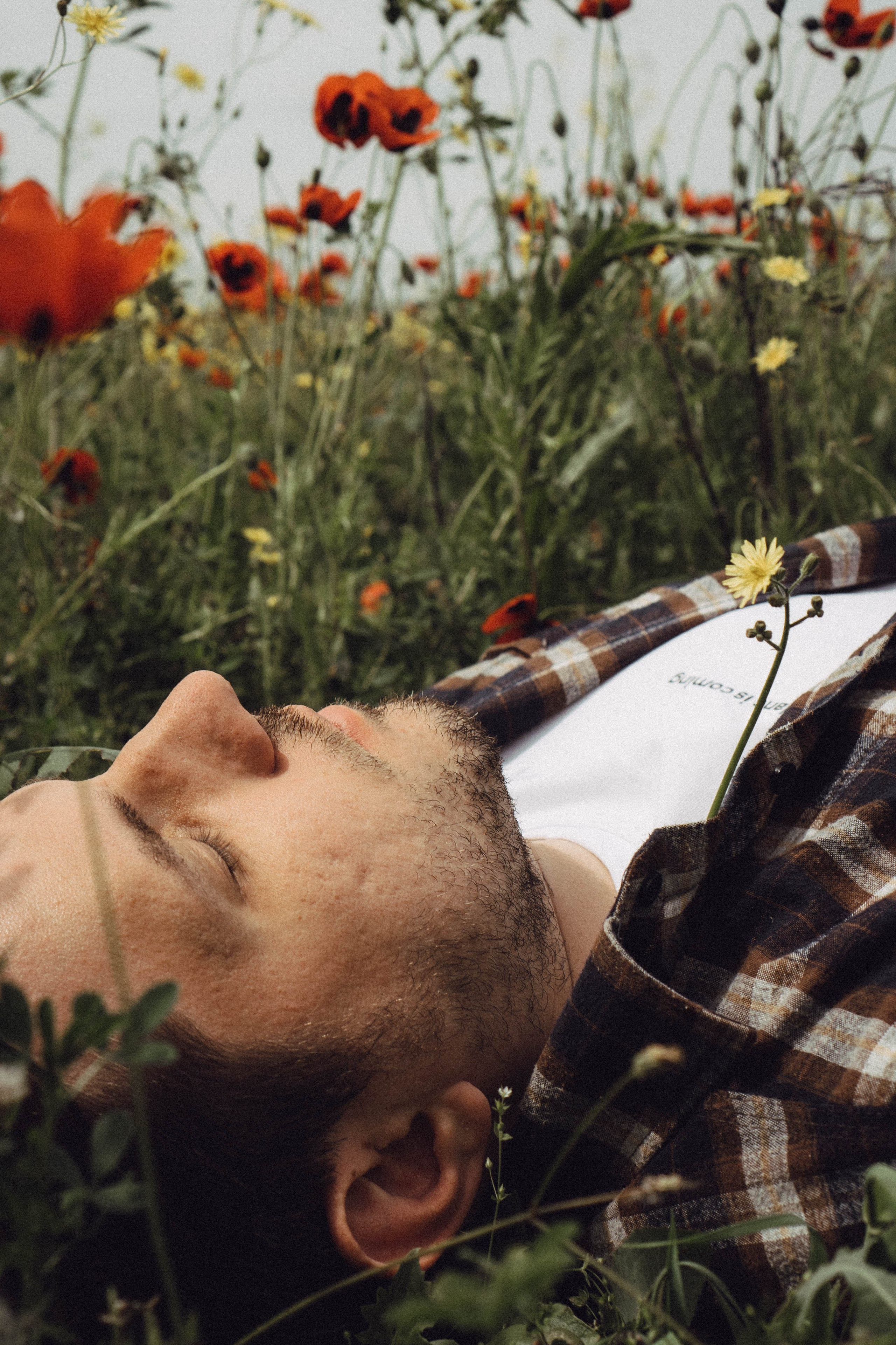 Маки. Профессиональный фотограф, Санкт-Петербург — Виктория Богомолова