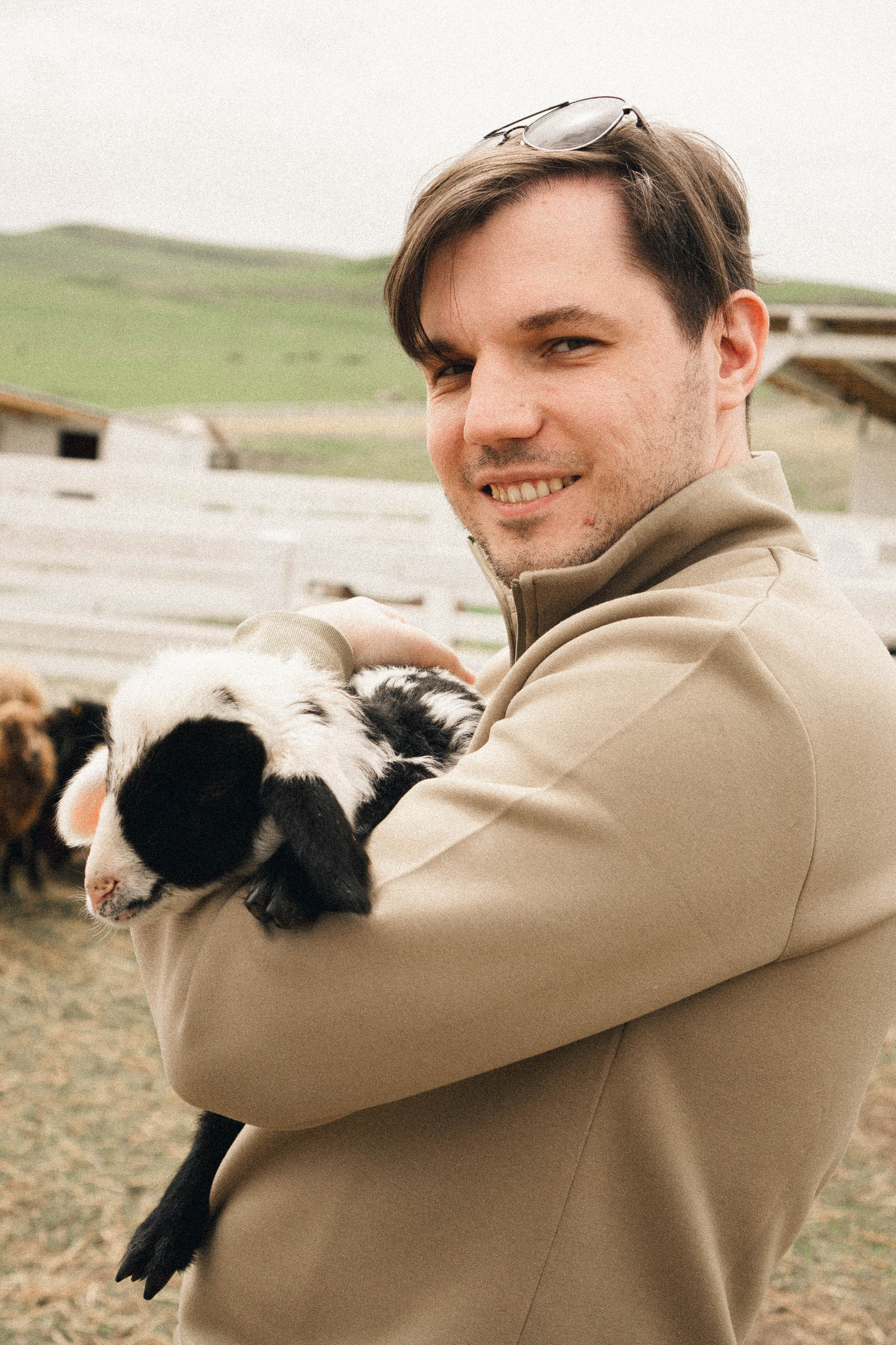 Ферма Альпак. Профессиональный фотограф, Санкт-Петербург — Виктория Богомолова