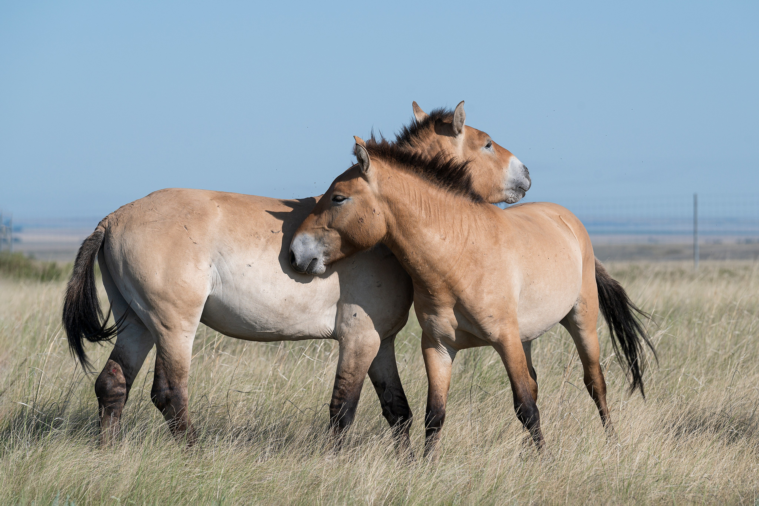 Оренбуржье. Портретный фотограф в Челябинске Катерина Руди