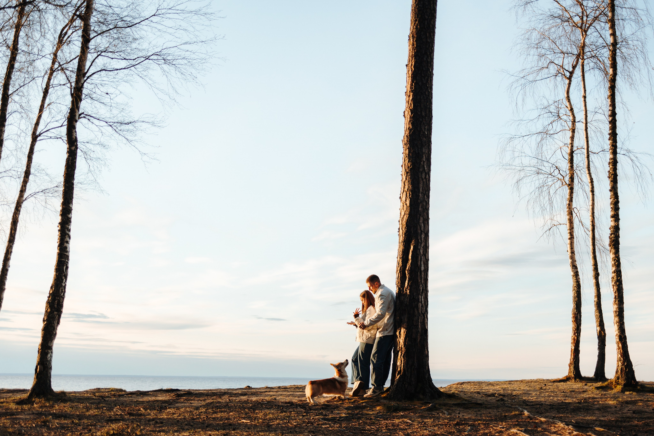 Найт и его семья. Фотограф — Анималист | Санкт-Петербург