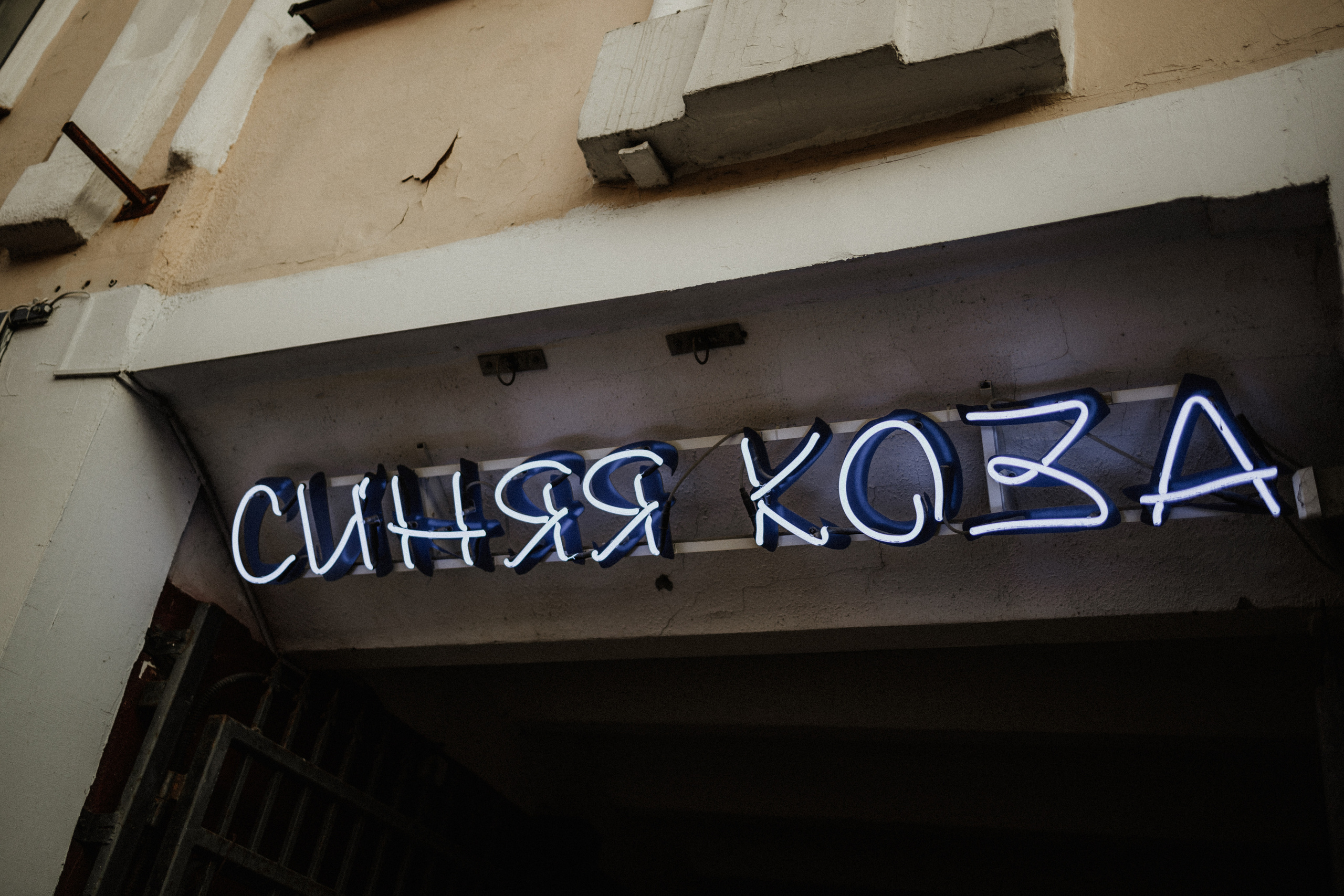 Никита И Алеся. Портретный фотограф Дорошко Анастасия