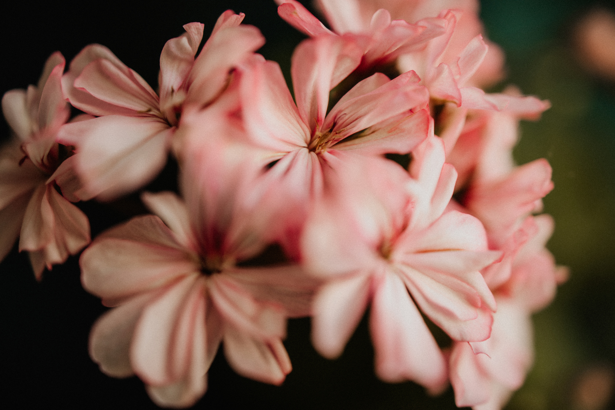 Никита И Алеся. Портретный фотограф Дорошко Анастасия