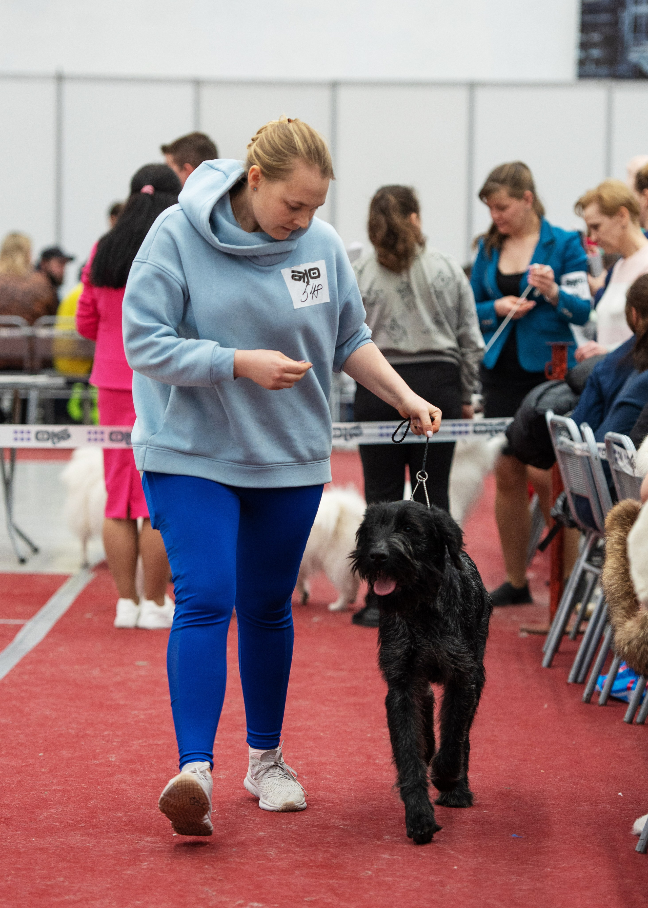 Выставки. Главная