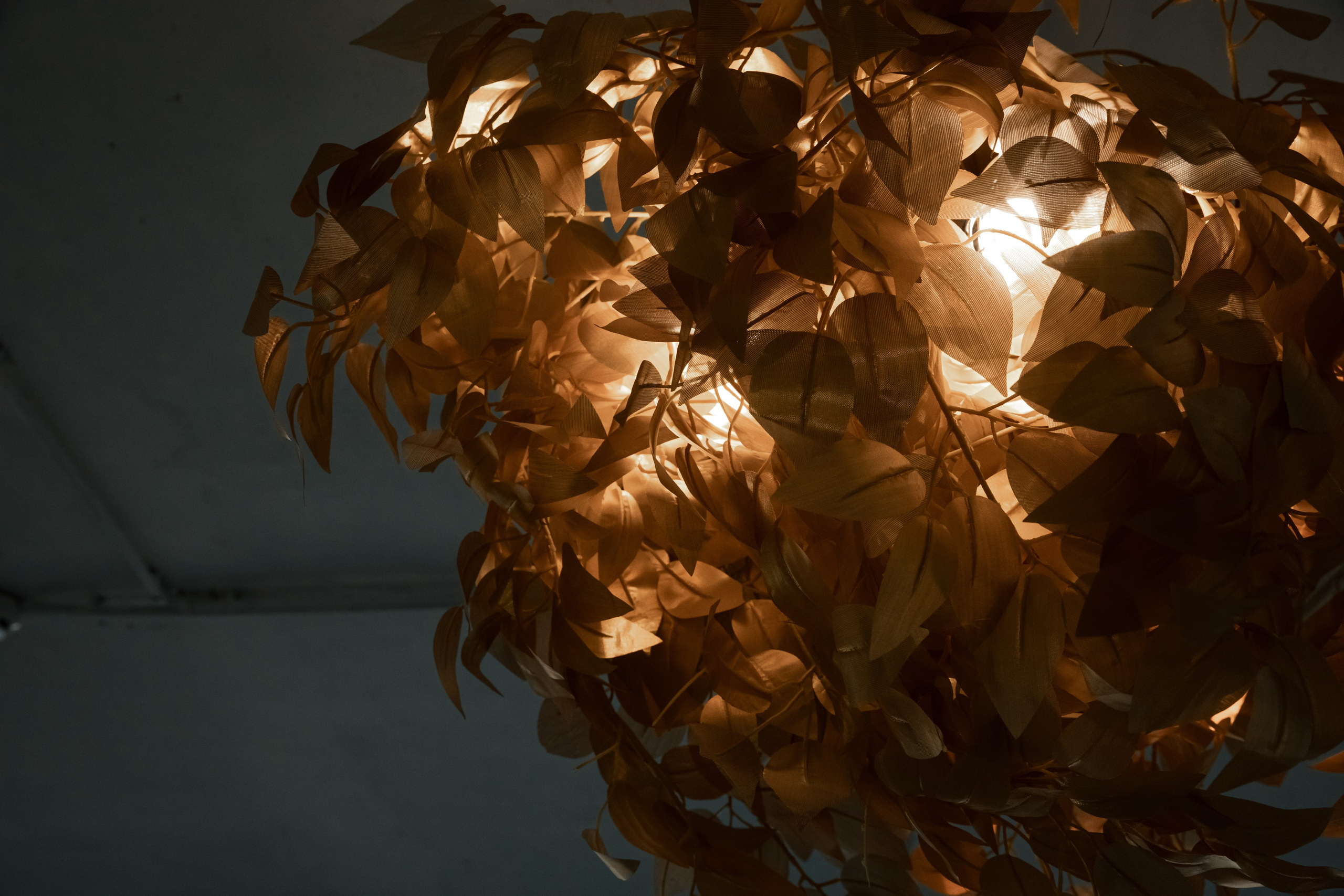 АВТОБОСС | Лекция Ключевые тренды и решения 2024. Фотограф брендов и бизнеса в Москве Алексей Сентюрин