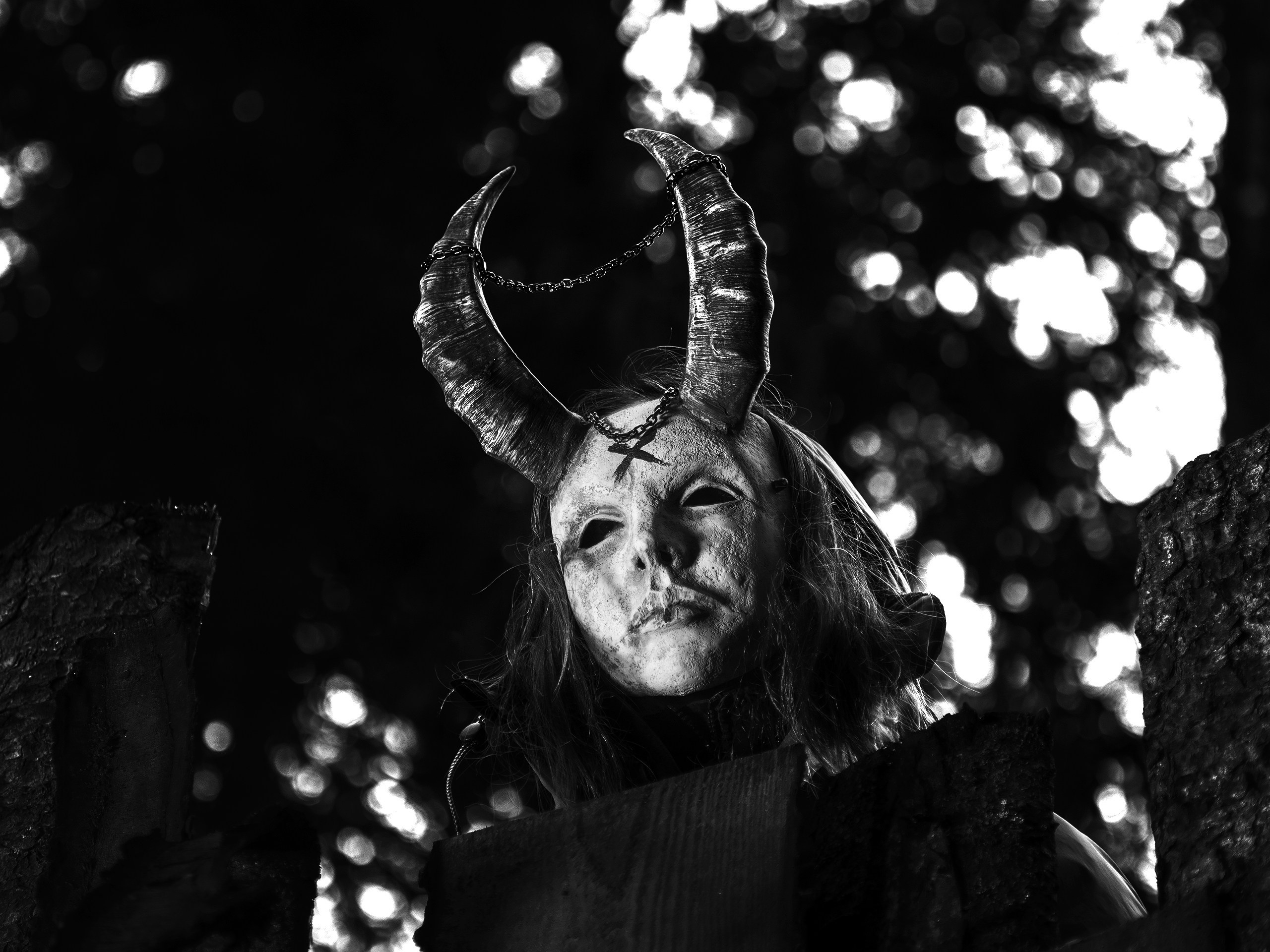 Хэллуин. Фотограф анималист Никита Натальный