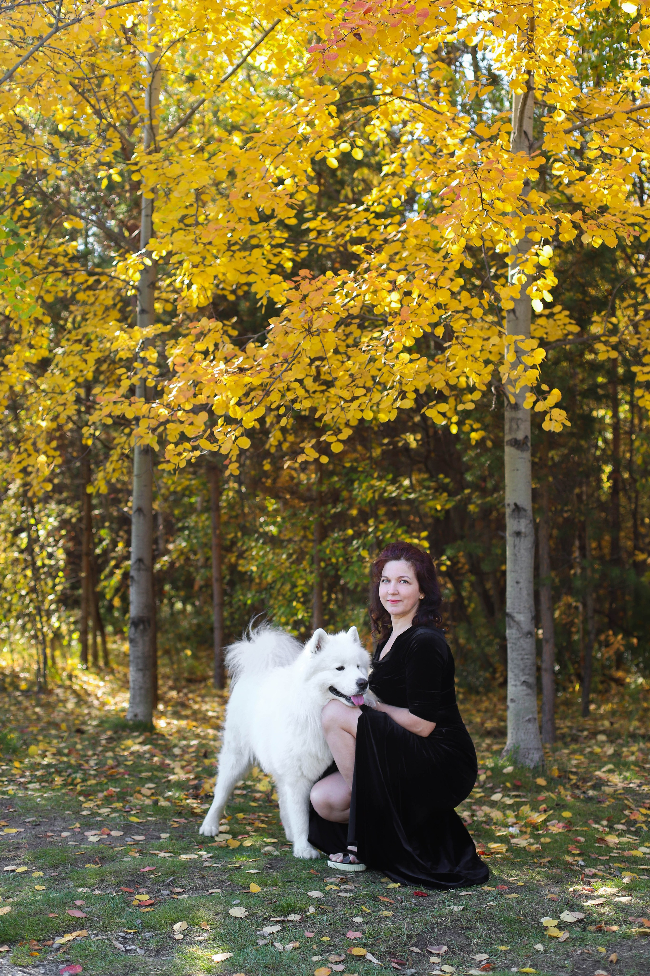 Девушка с собакой. Фотограф в Сургуте Брызгунова Анастасия