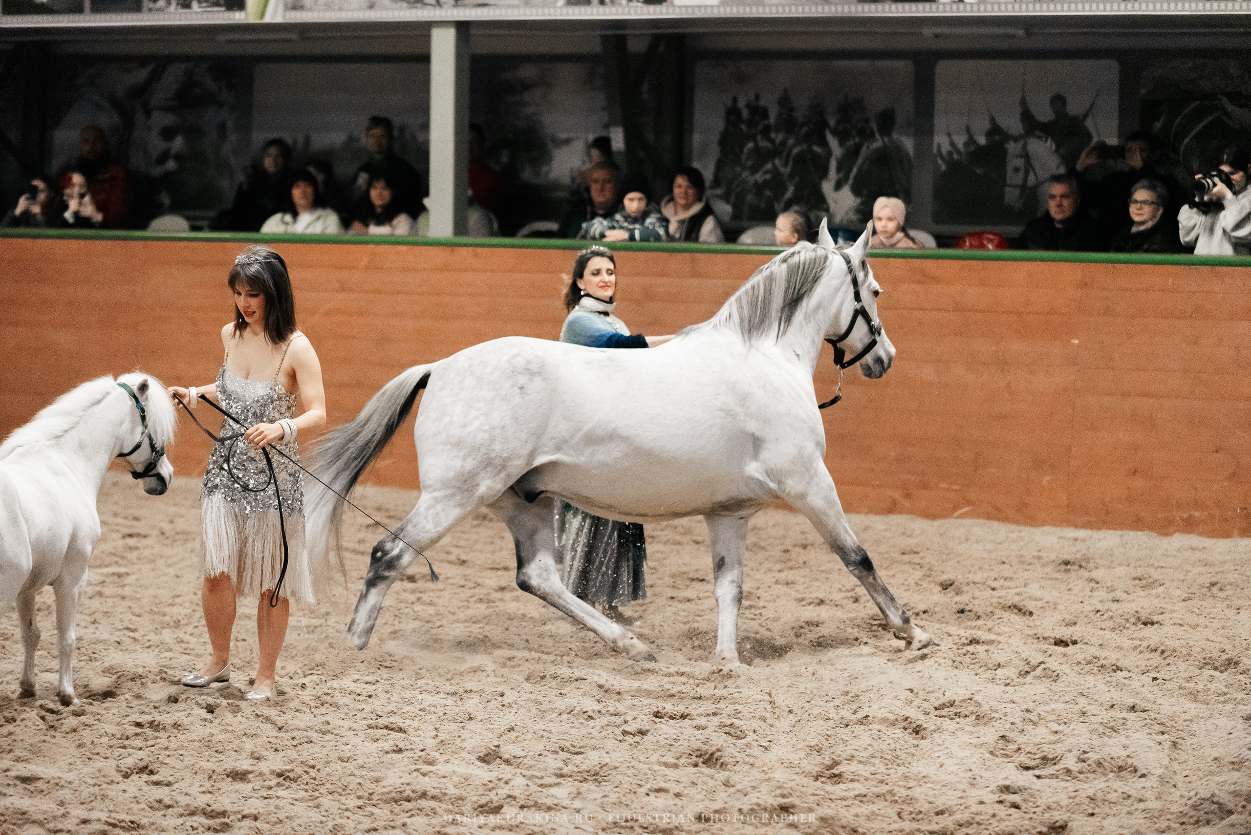 Конное представление «Дыхание Звёзд». Конный фотограф Куракина Дарья • Фотосессии с лошадьми