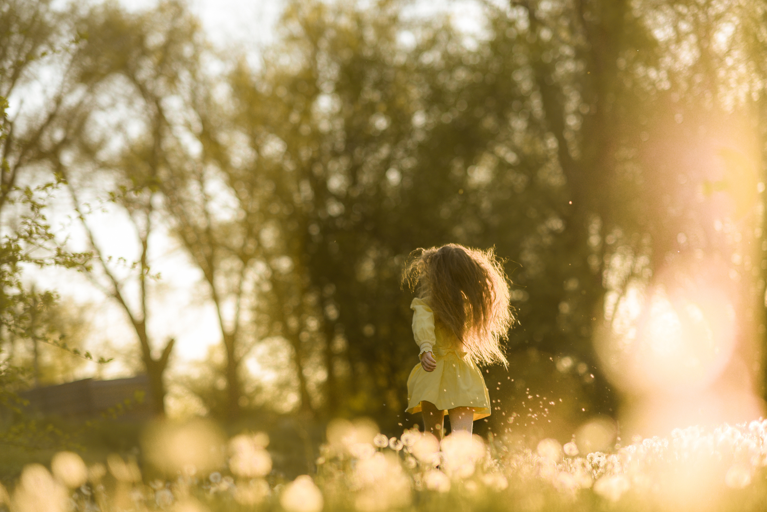 Фотосессия в одуванчиках. Семейный фотограф в Ростове-на-Дону Мария Панарина