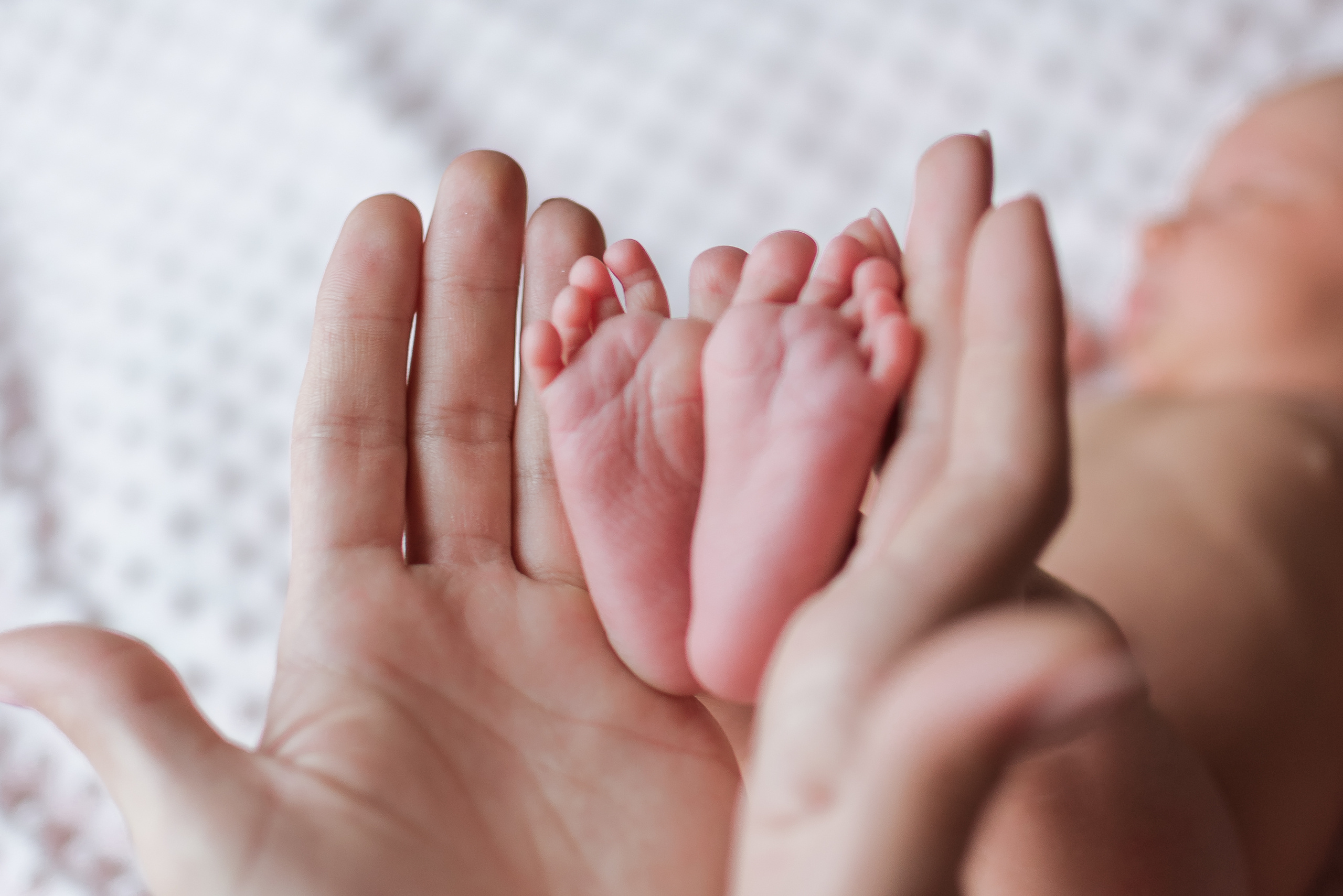 Домашняя ньюборн. Семейный фотограф в Ростове-на-Дону Мария Панарина