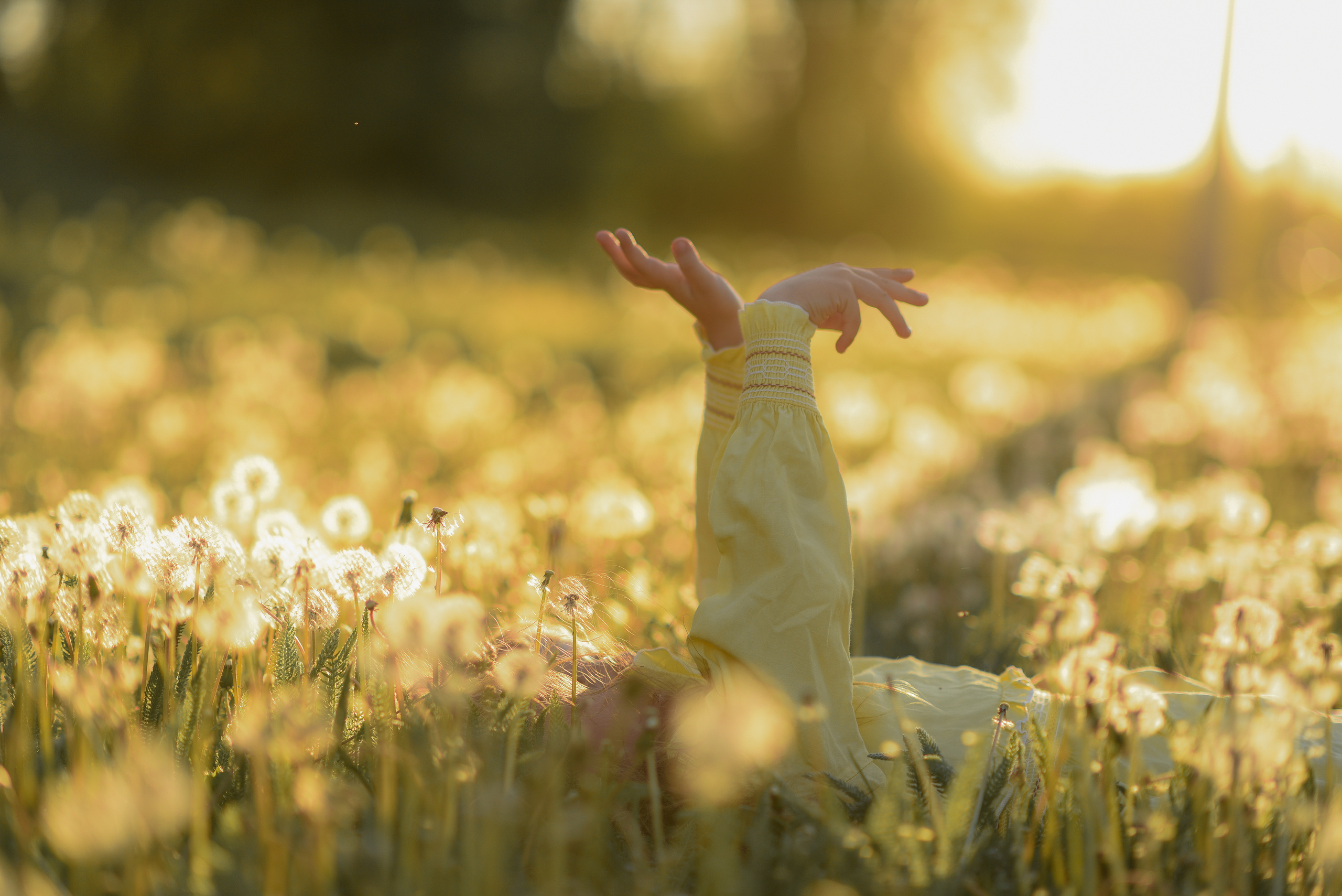 Фотосессия в одуванчиках. Семейный фотограф в Ростове-на-Дону Мария Панарина