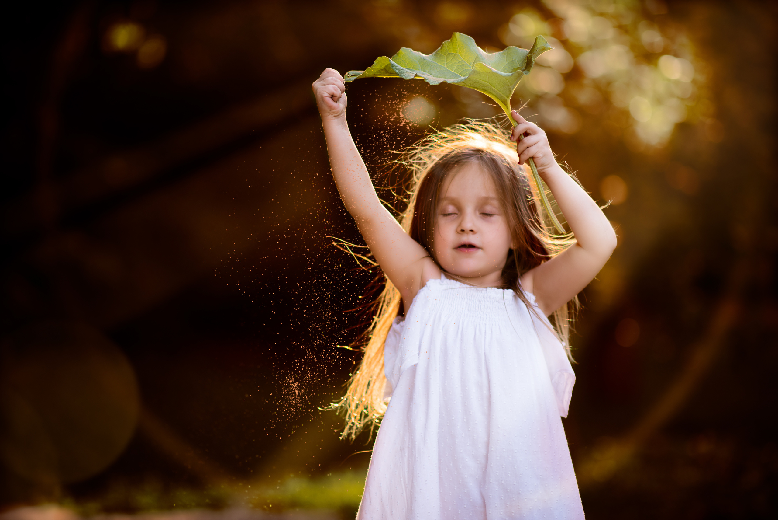 Золотой песчанный дождь