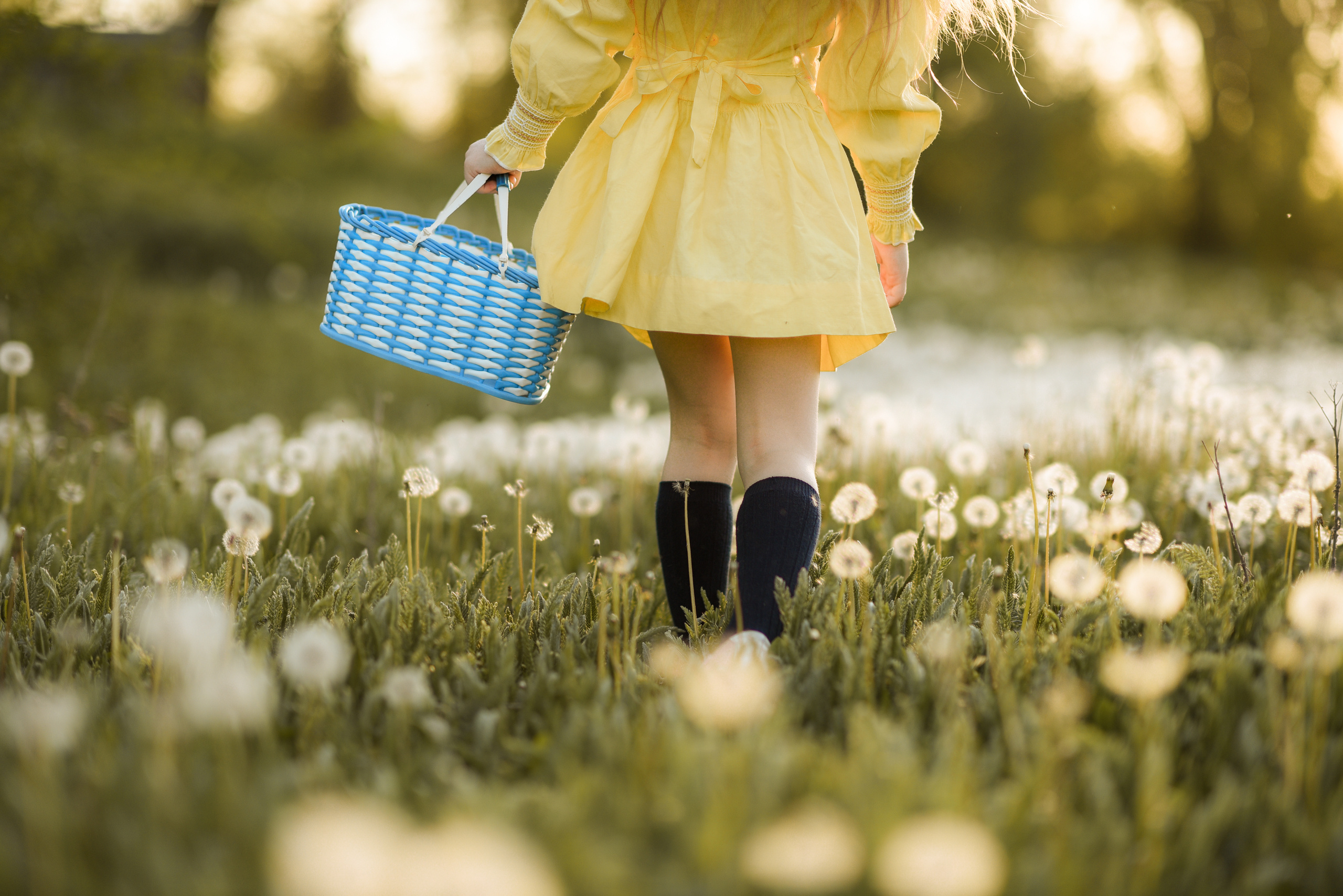 Фотосессия в одуванчиках. Семейный фотограф в Ростове-на-Дону Мария Панарина