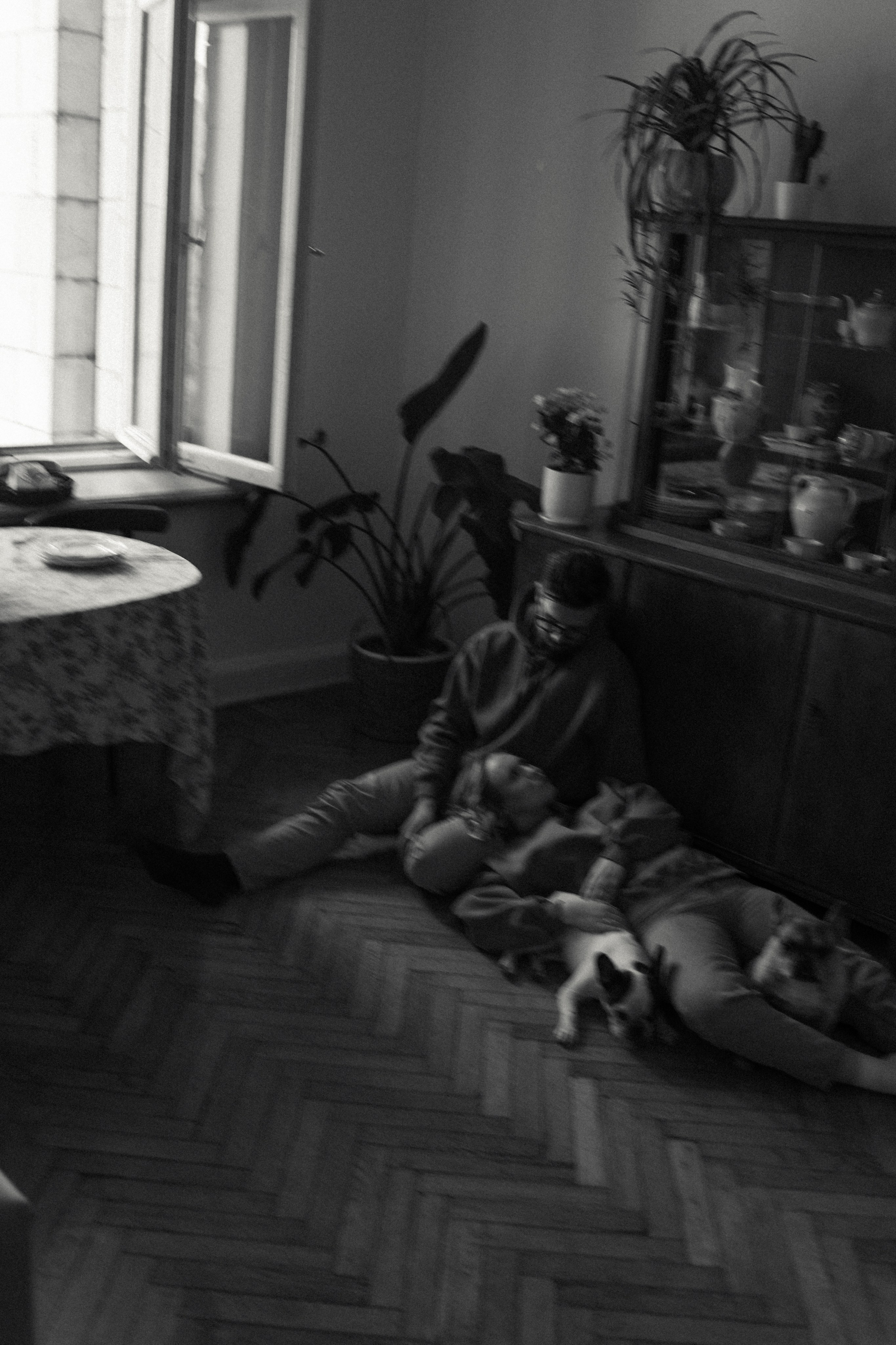 Зефирка, Булка и их Ро. Фотораф — анималист Мария Шистка