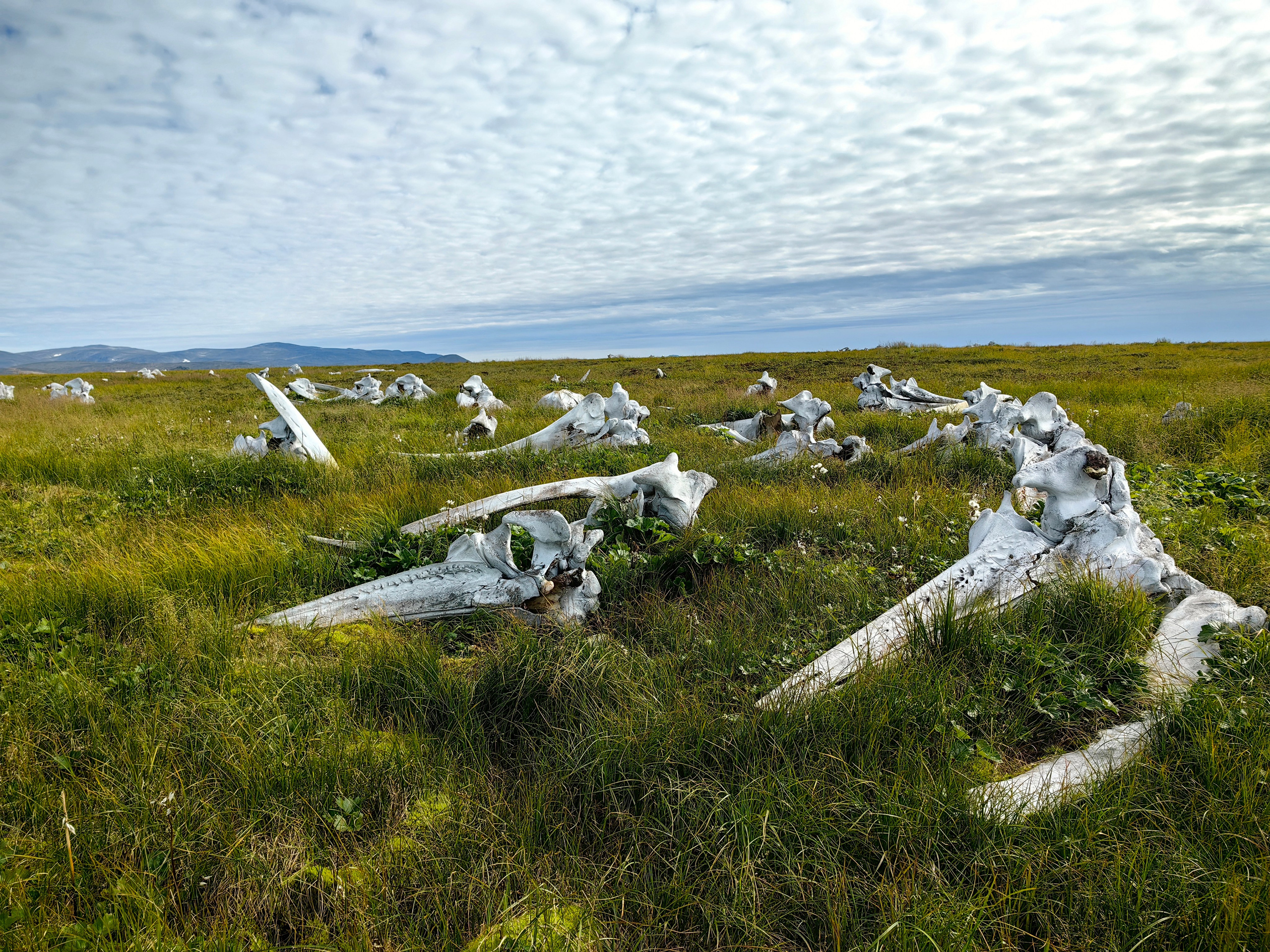 Чукотка. Mara Art Foto | Фотограф в Москве и Нижнем Новгороде