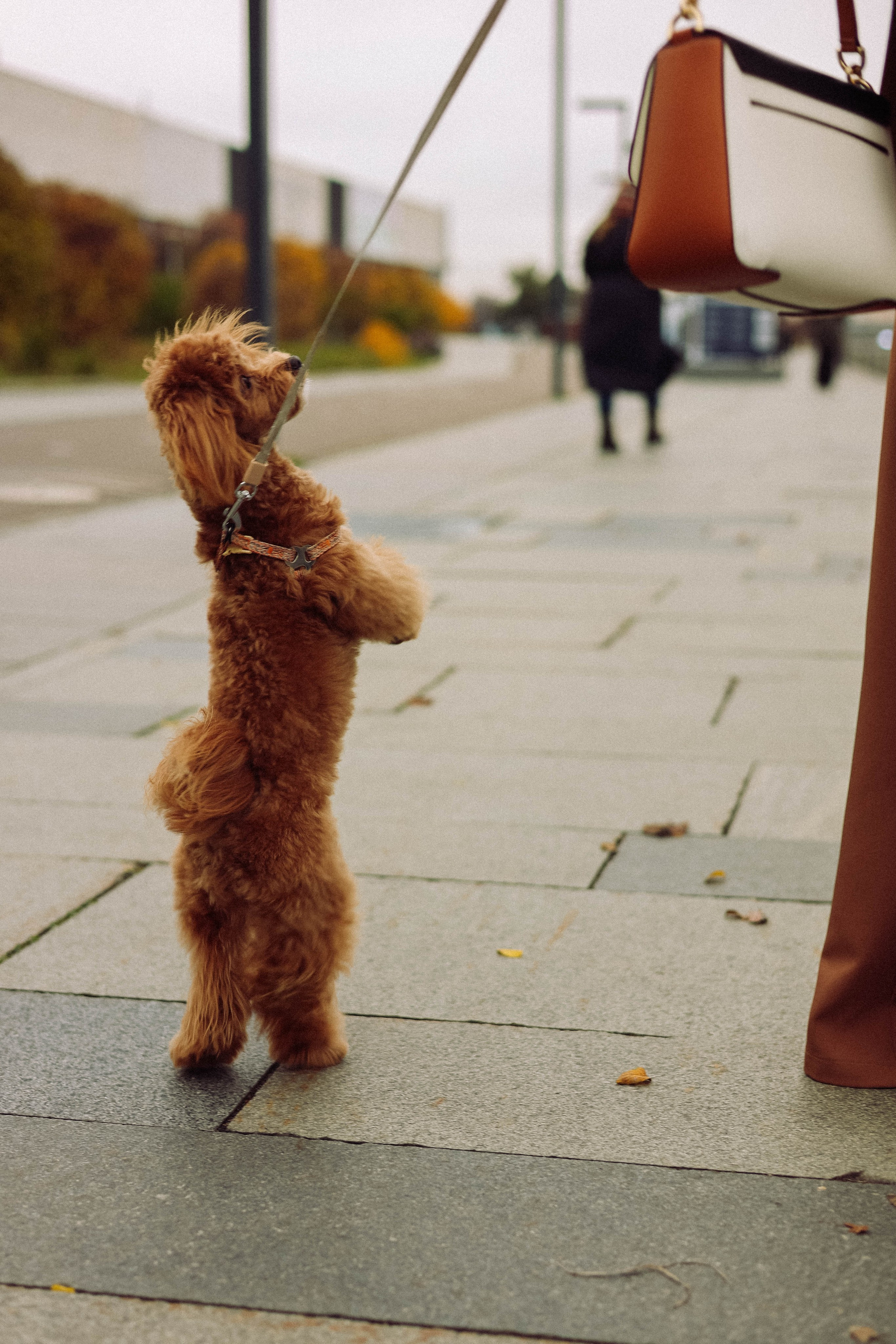 Кира. Фотограф в Москве Анастасия Калинина