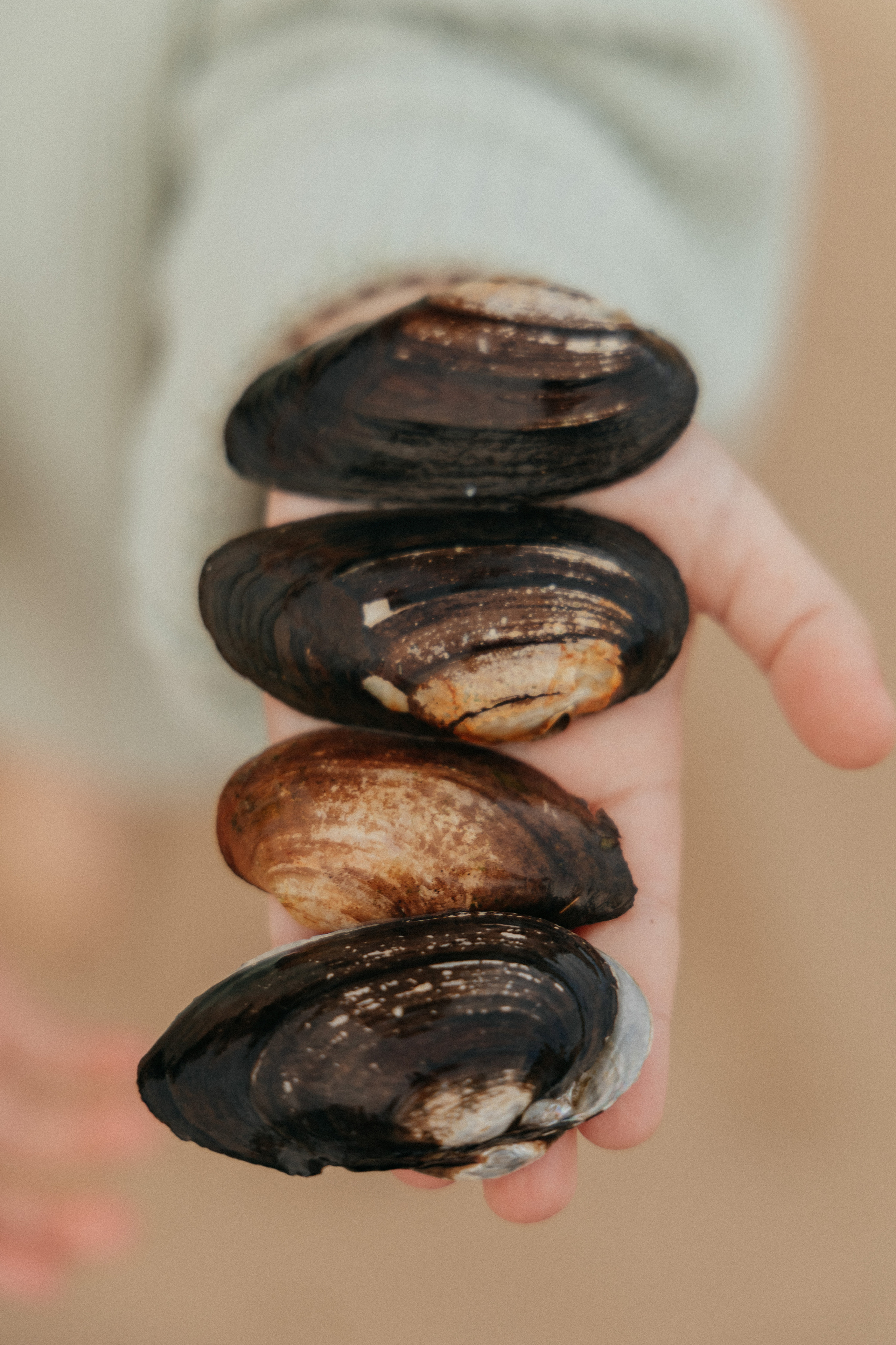 Саша и Тоня. Ваш фотограф в г. Волгоград и по всей России Севастьянова Ульяна
