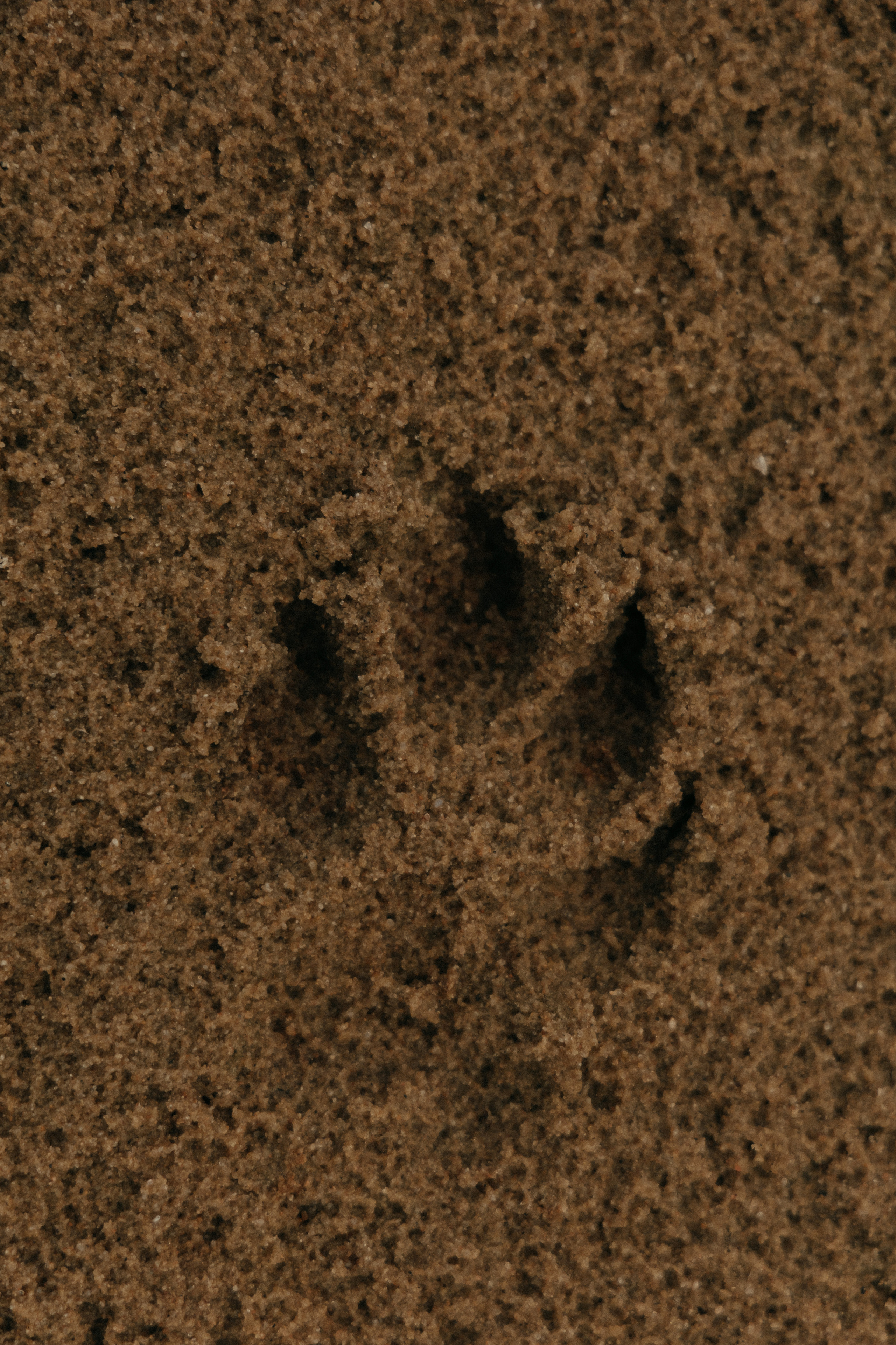 Саша и Тоня. Ваш фотограф в г. Волгоград и по всей России Севастьянова Ульяна