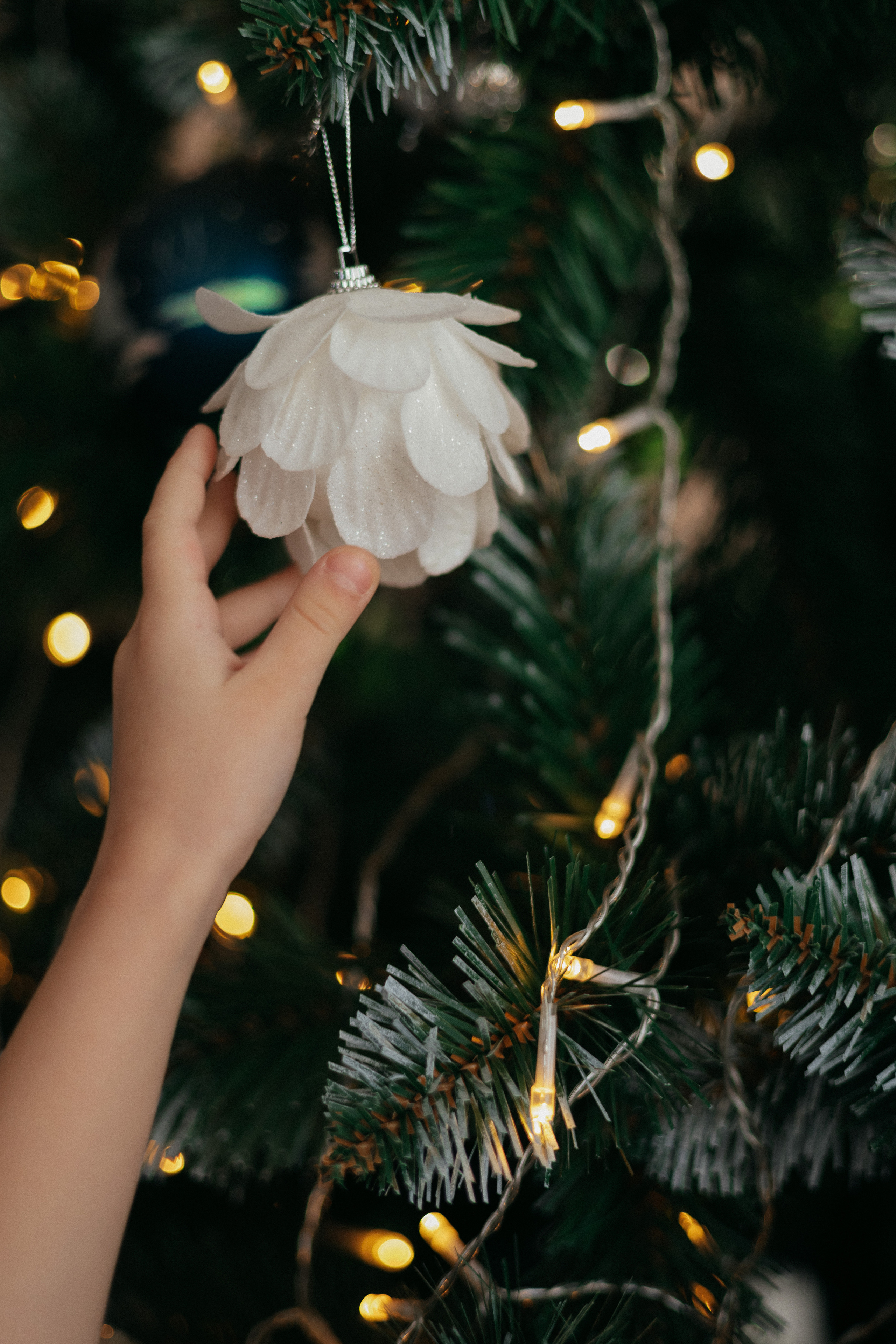 Тоня и Саша. Ваш фотограф в г. Волгоград и по всей России Севастьянова Ульяна