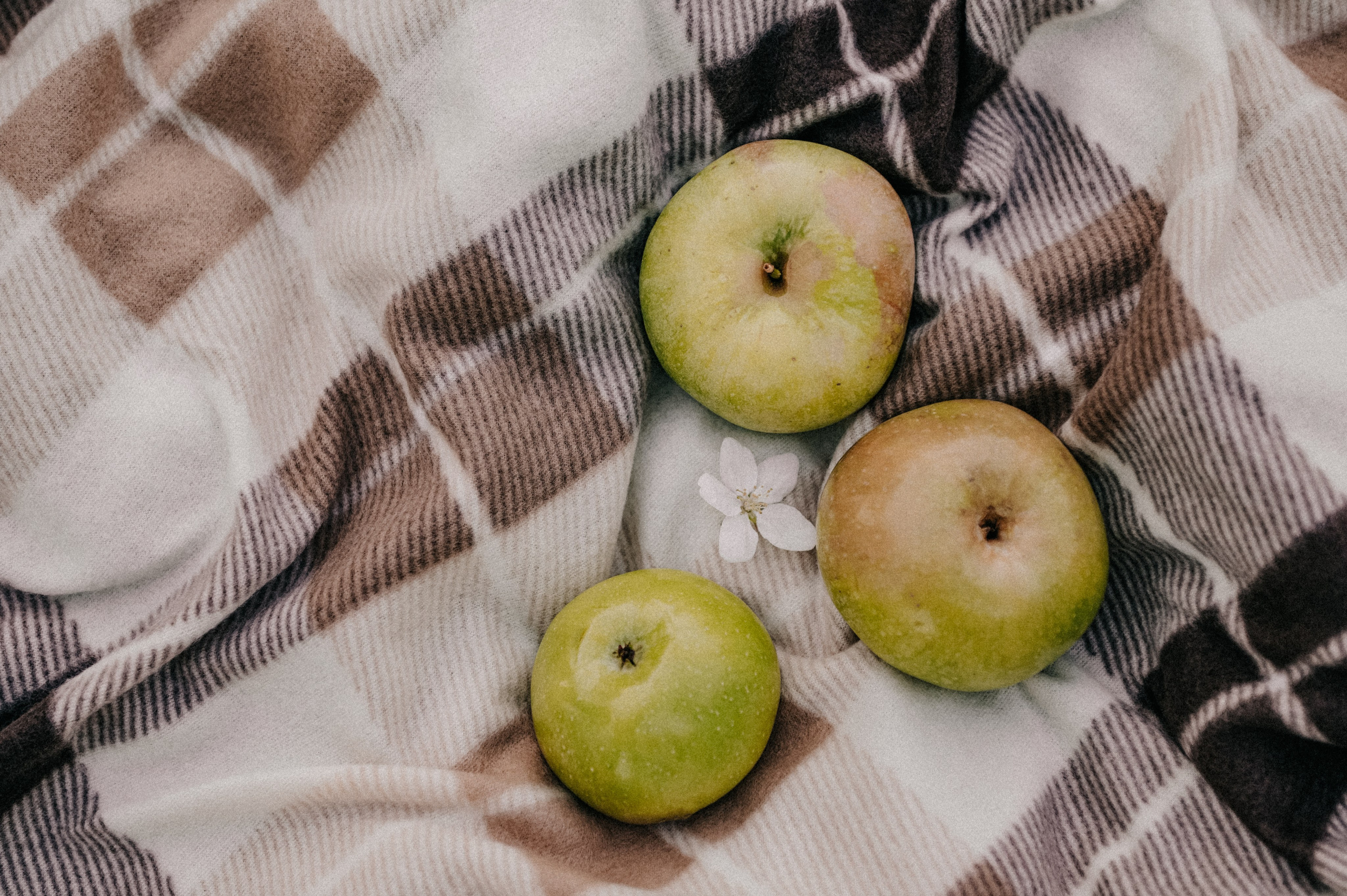 Весенняя фотопрогулка для Кристины и семьи в Гребнево. Свадебный и семейный фотограф Виктория Носачёва. Щелково, Москва и МО