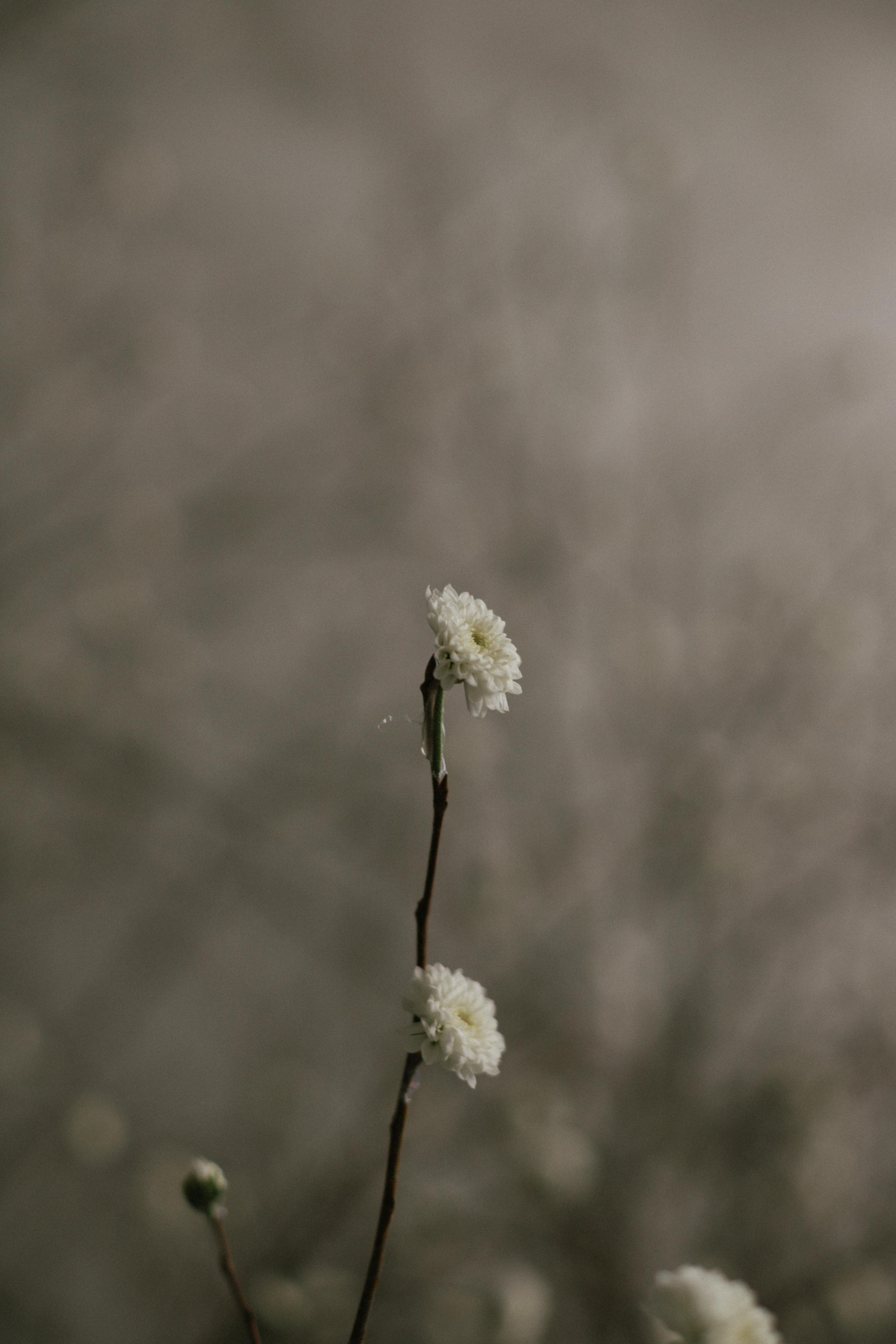 MK Ulanov 2022. Свадебный фотограф Нижний Новгород