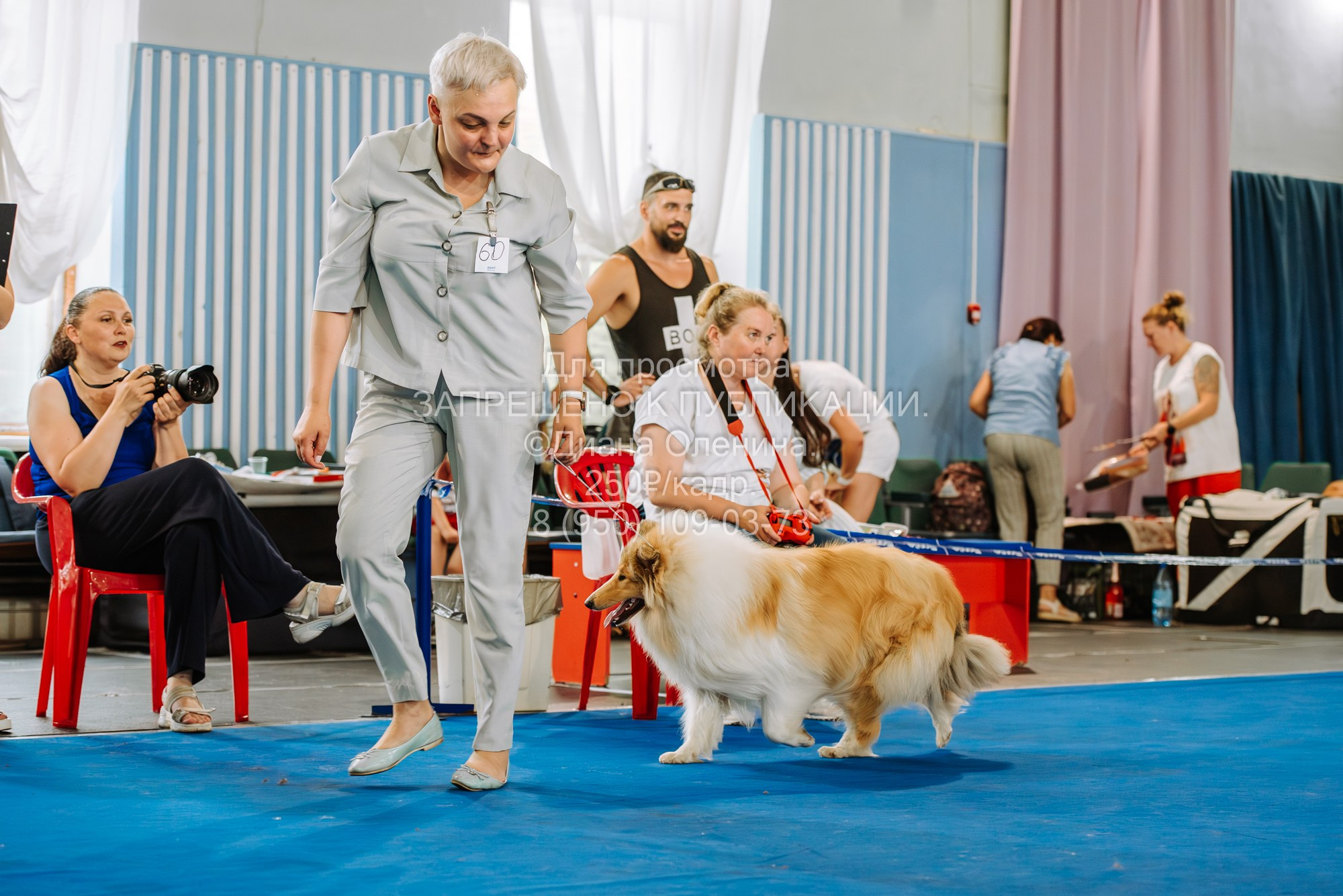 Национальная выставка собак всех пород ранга САС-IKU «Кубок Красноярск. Фотограф Диана Оленина Красноярск / Братск