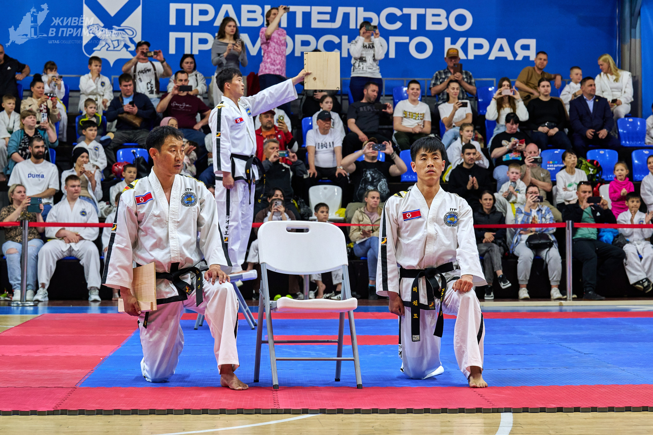 Кубок губернатора по тхэквондо. Профессиональный репортажный фотограф Инесса Иминова