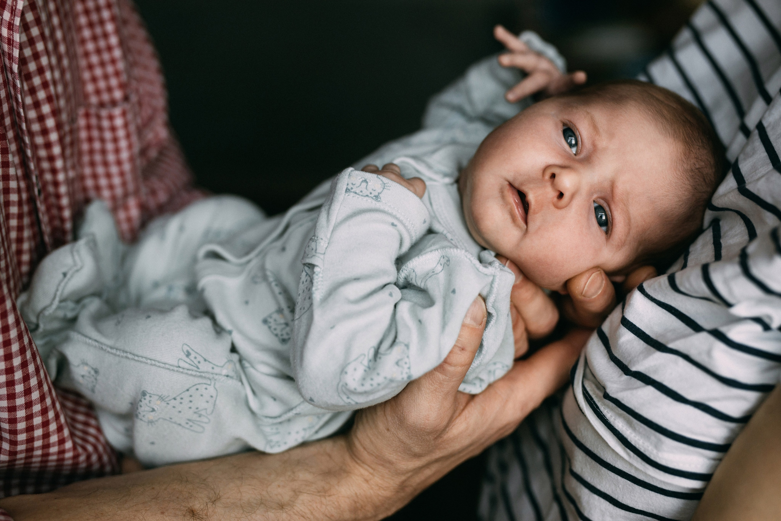 Петя, Саша, Федя, Варя, Стёпа, Маня, Веня, Яся. Фотограф Людмила Оюн