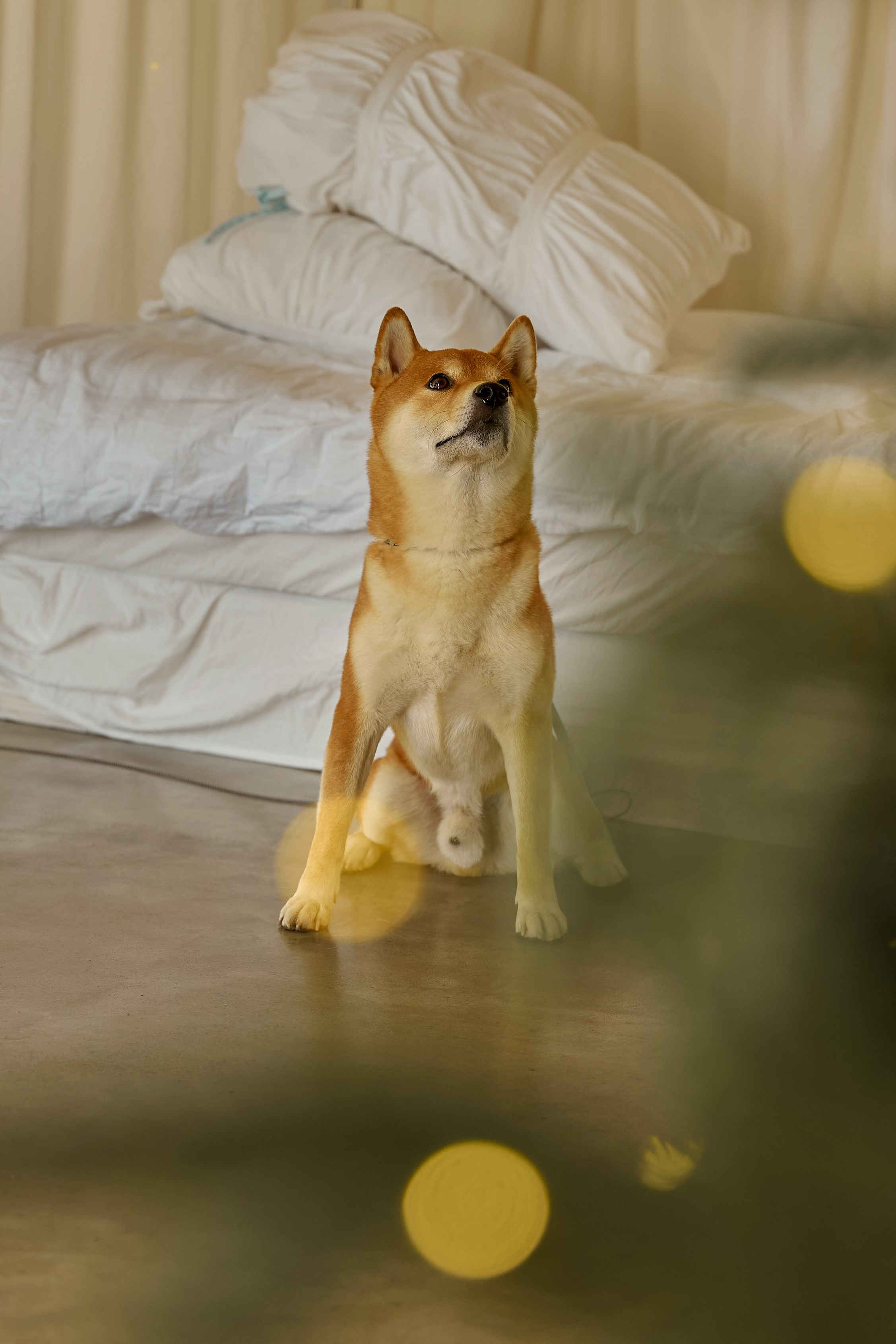 Юля. Фотограф женского портрета, беременности и материнства Харькова Елена