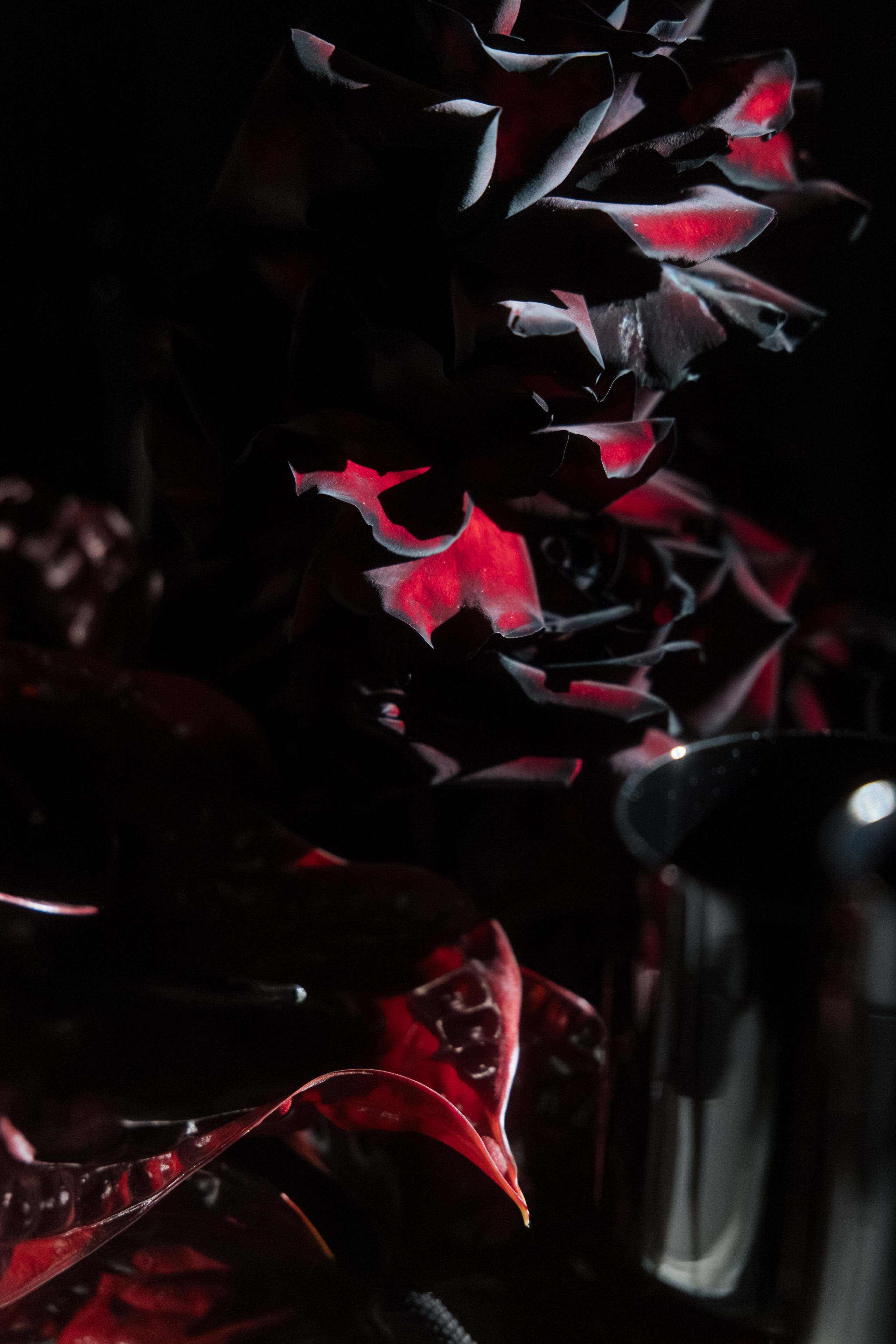 @chili_weddings. Свадебный и репортажный фотограф в Москве Владимир Сергеев | Naysaikolo