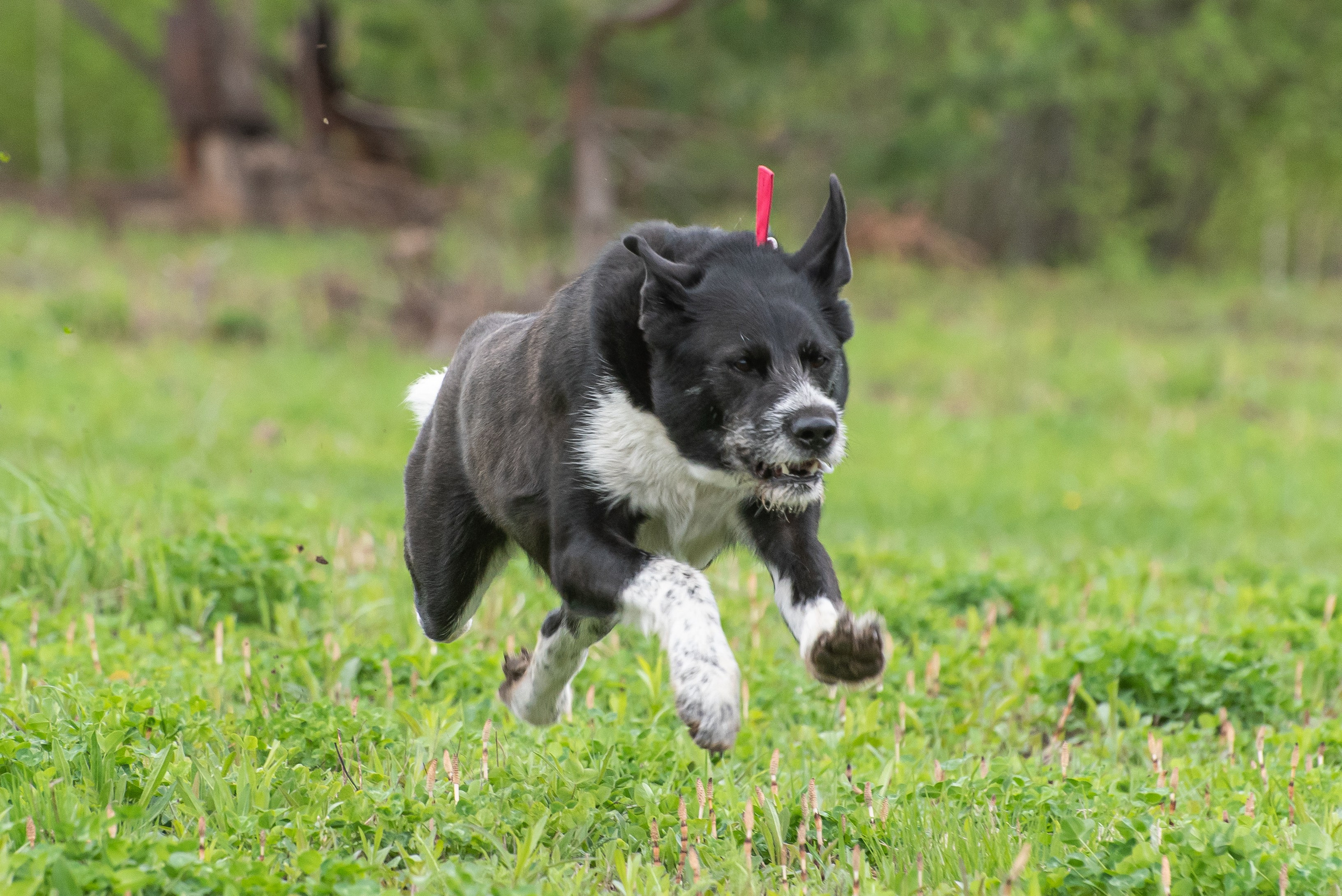 Фотографии с Курсинга. Фотограф Макс Огурцов в Нижнем Новгороде