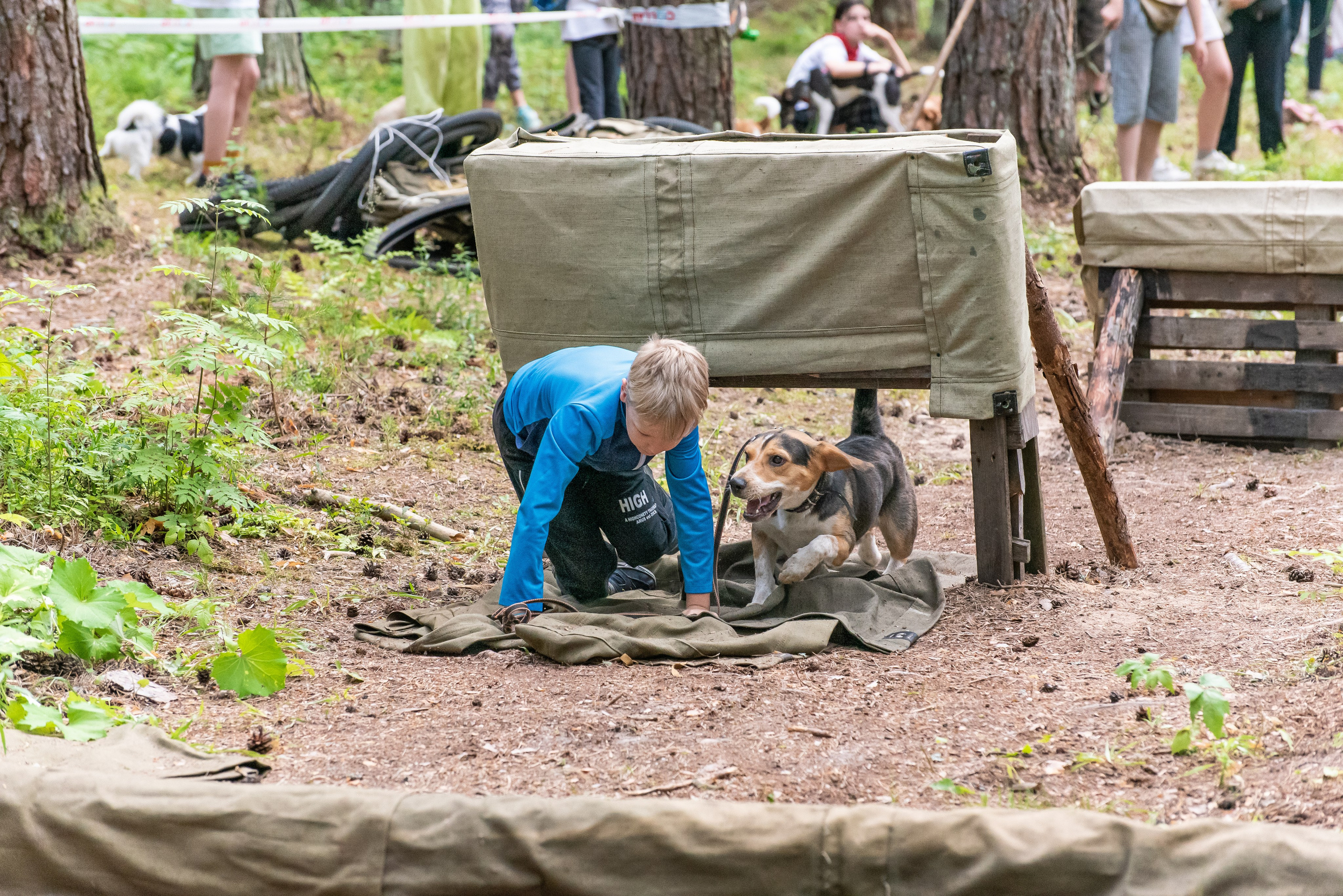 Хвостатые каникулы Детский кинологический лагерь. Фотограф Макс Огурцов в Нижнем Новгороде