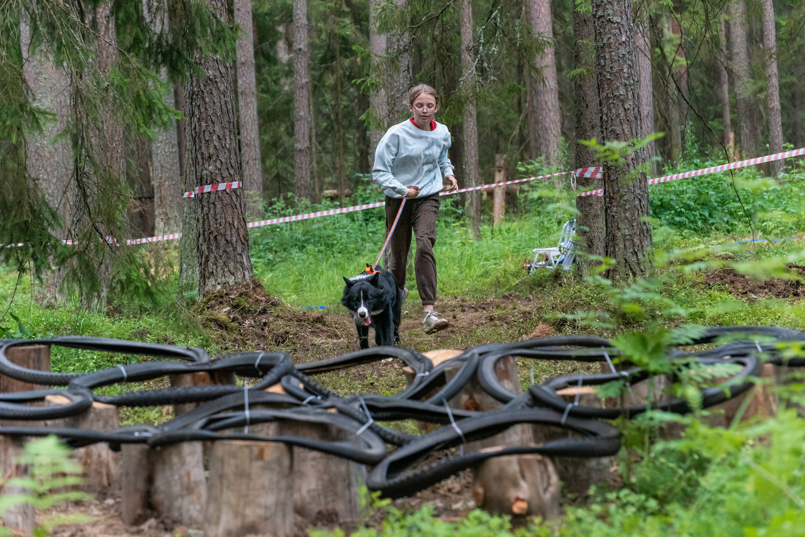 Хвостатые каникулы Детский кинологический лагерь. Фотограф Макс Огурцов в Нижнем Новгороде