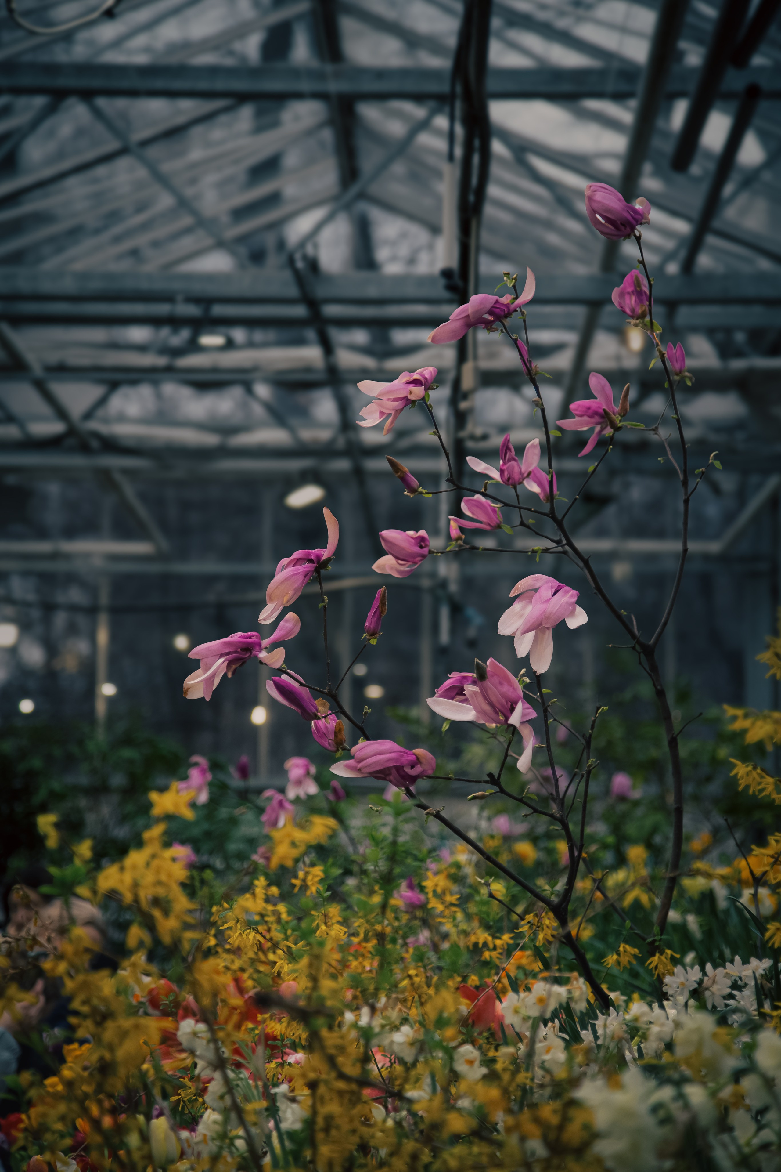 Персидский сад. Dmitriy [KCCC] is a pretty cool photographer