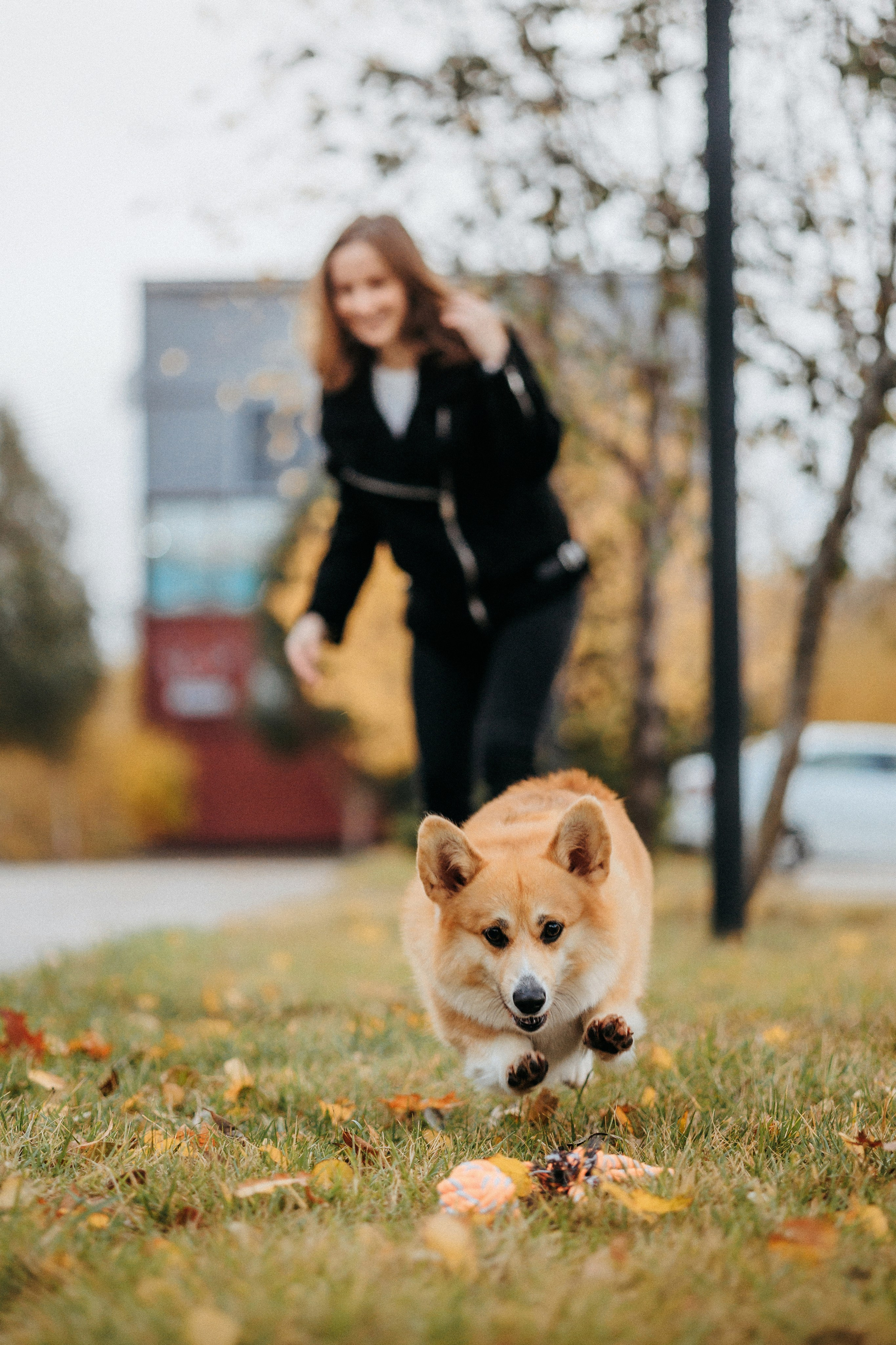 Вера, Саша и Муна. Фотограф-анималист Елена Радченко, Москва