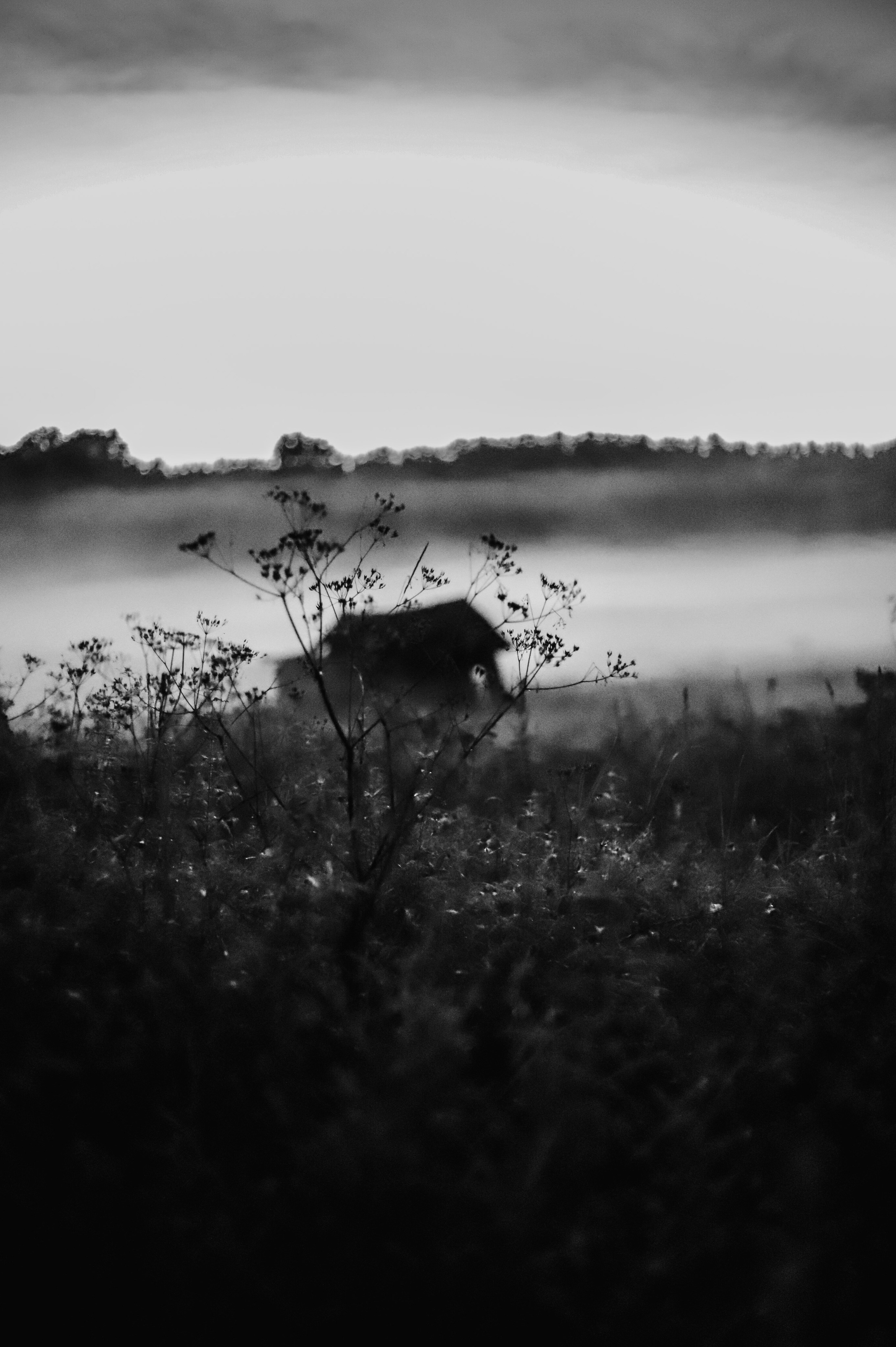 Пейзаж. Фотограф Олеся Шипихина г. Москва
