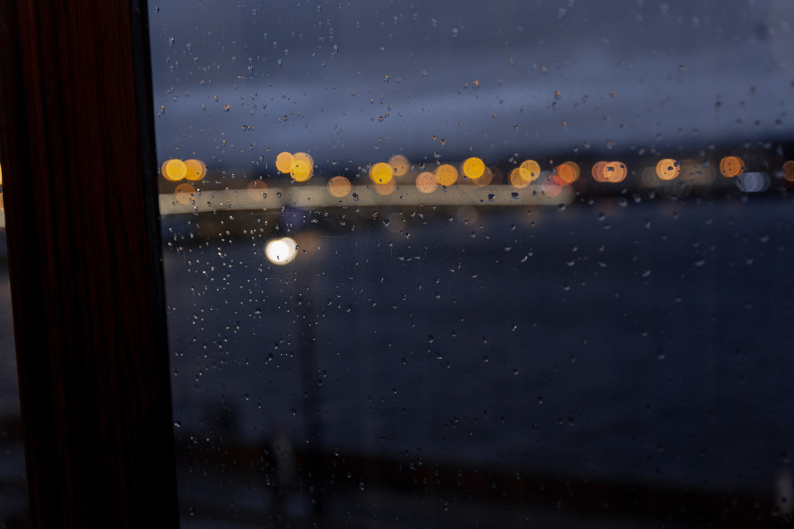 Артем и Виктория: осень, Петербург, любовь. @dariazphoto свадебный фотограф